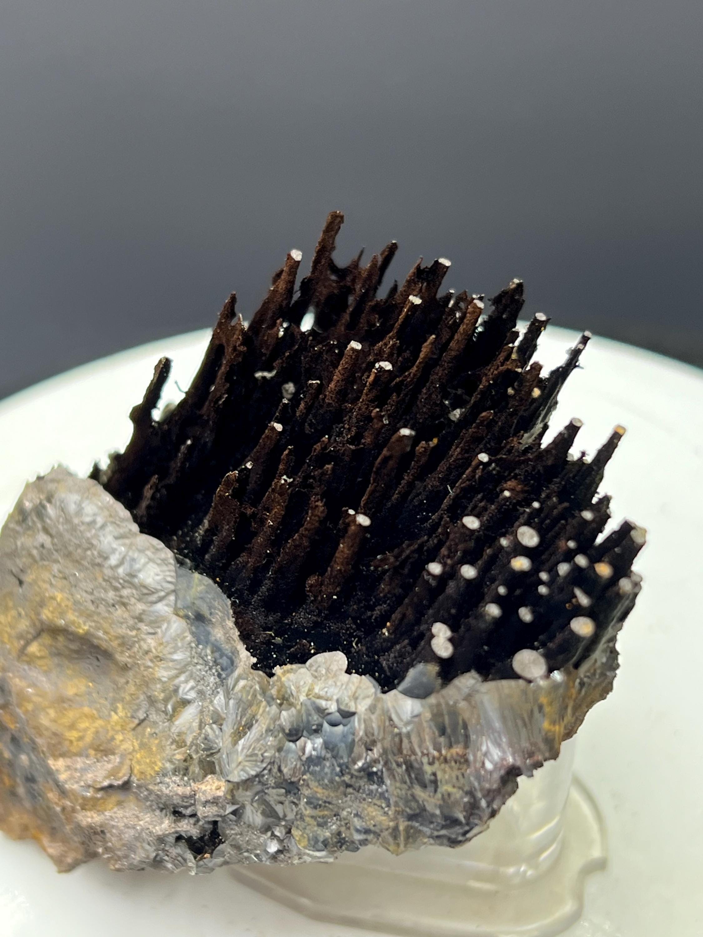 Showy Limonite With Stalactite Goethite, For Special Collection - Crystal Gemstone AE 