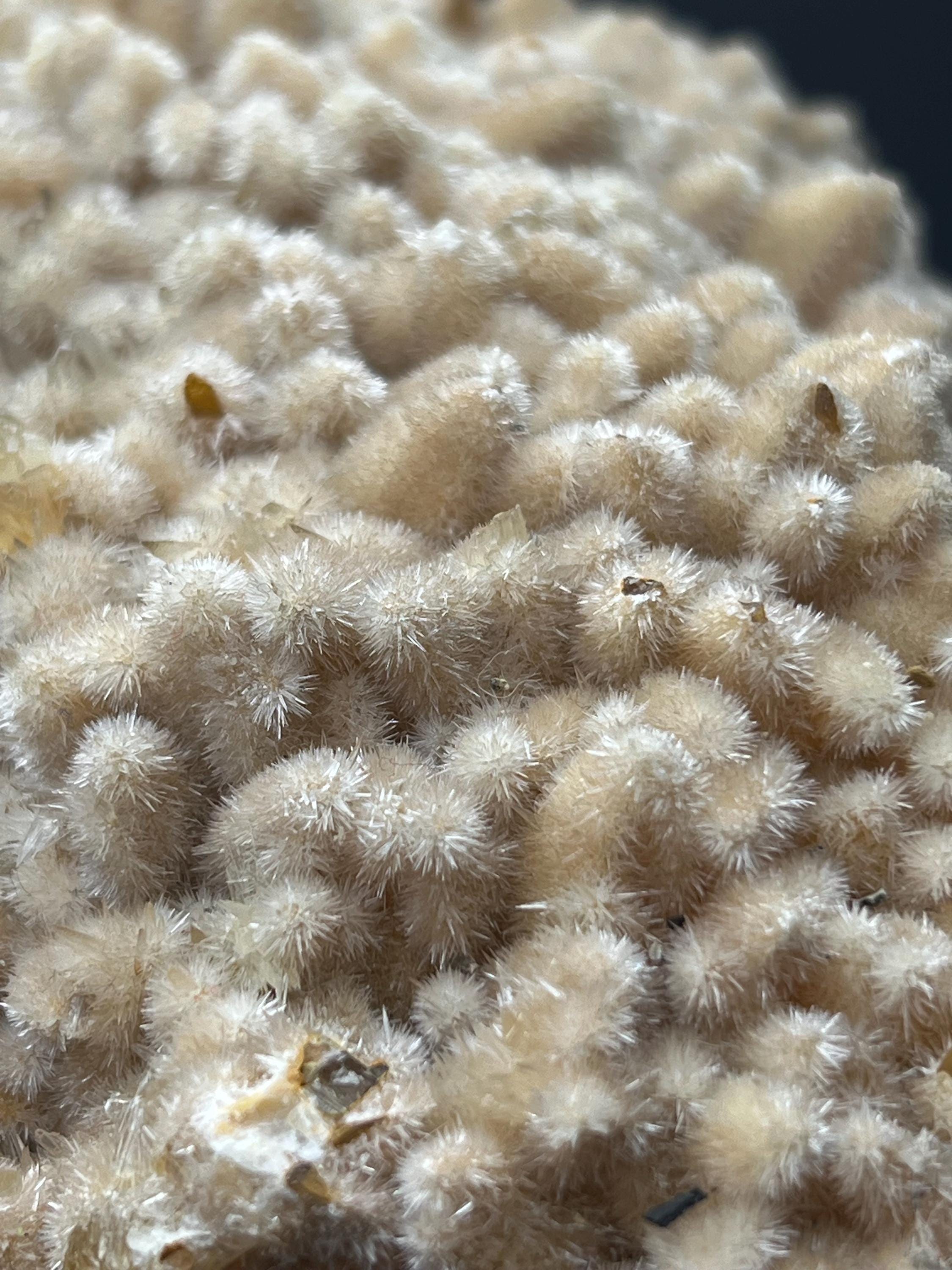 Feather Crystal Calcite Specimen - Crystal Gemstone AE 