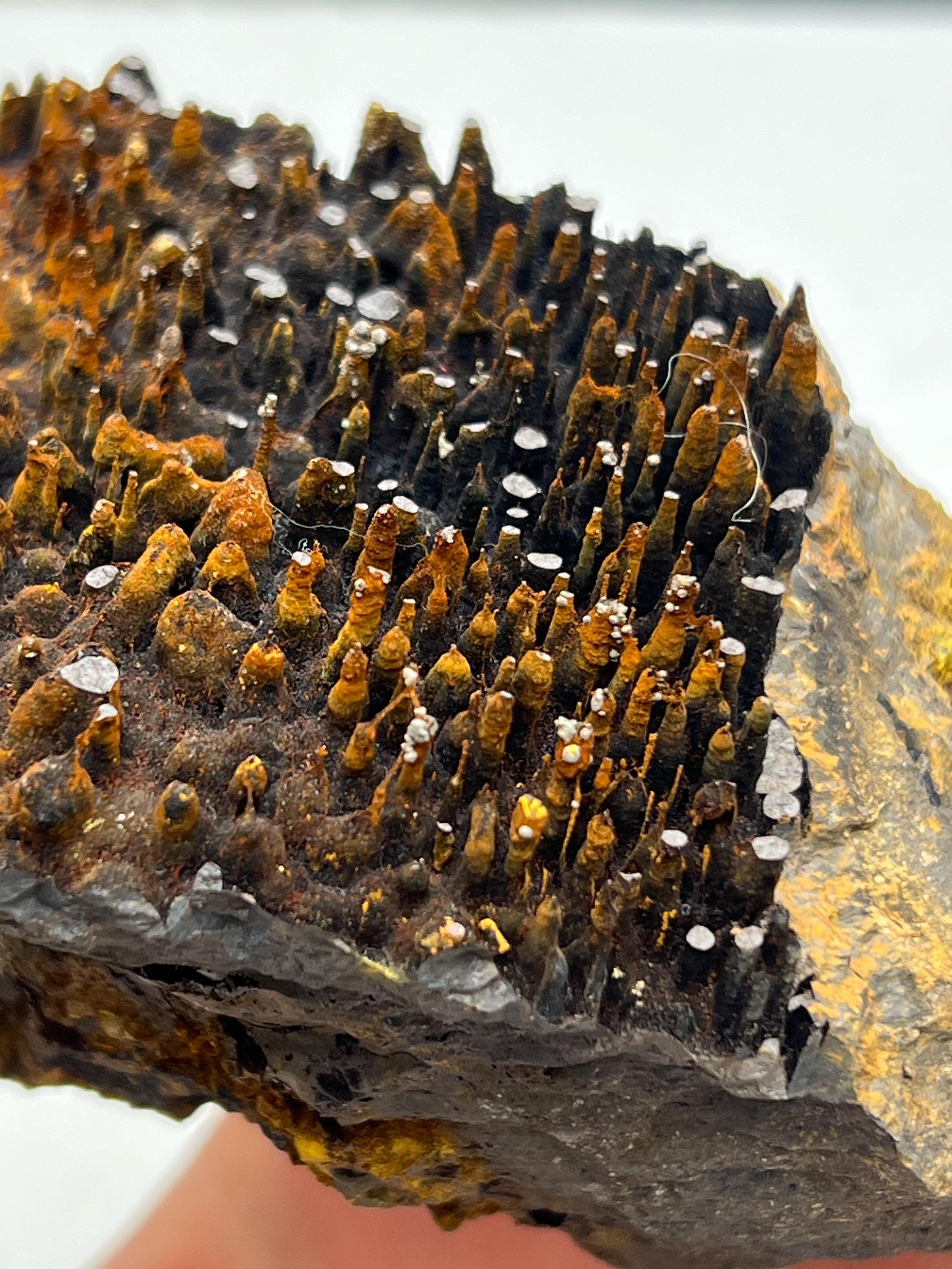 Museum quality, Very Special, Limonite With Stalactite Goethite, From Turkey, Special Collection Piece - Crystal Gemstone AE 