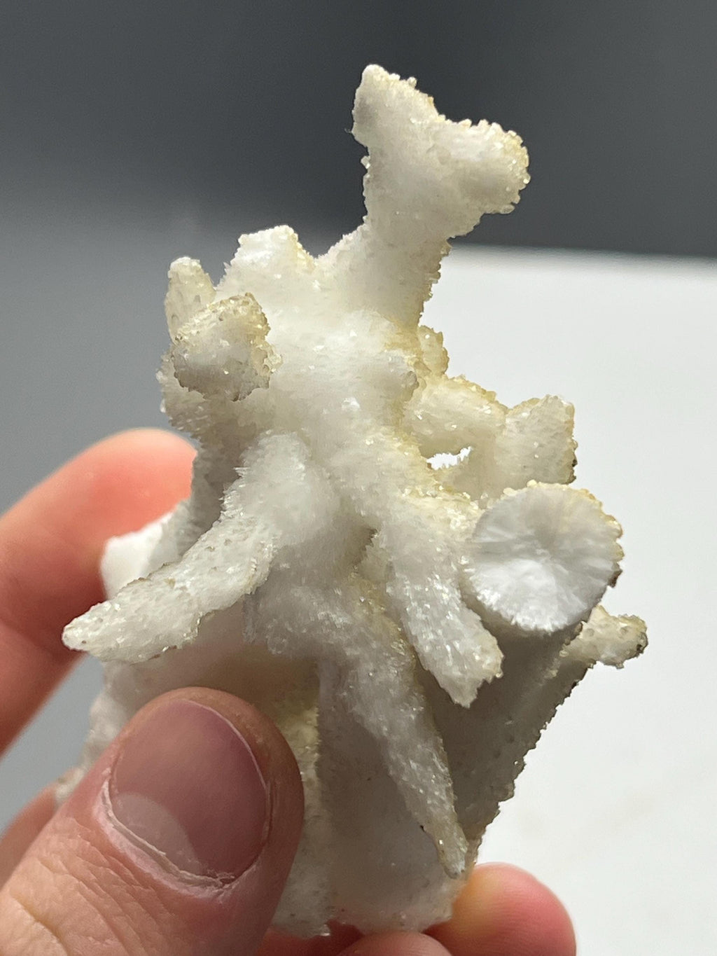 Special Formed 2 Sided Stalactite Aragonite Mineral, From Turkey - Crystal Gemstone AE 
