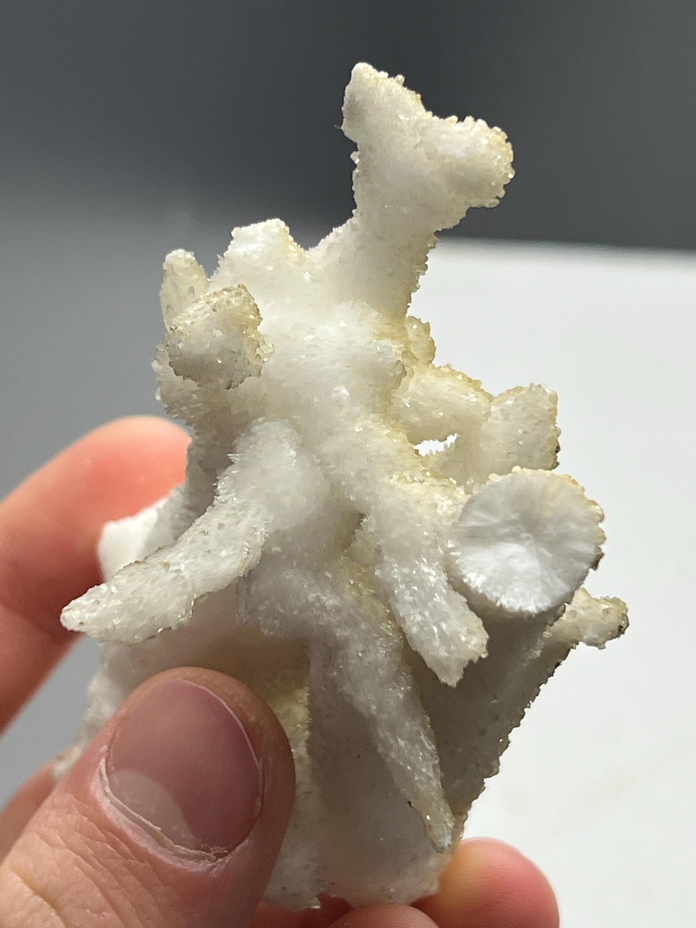 Special Formed 2 Sided Stalactite Aragonite Mineral, From Turkey - Crystal Gemstone AE 