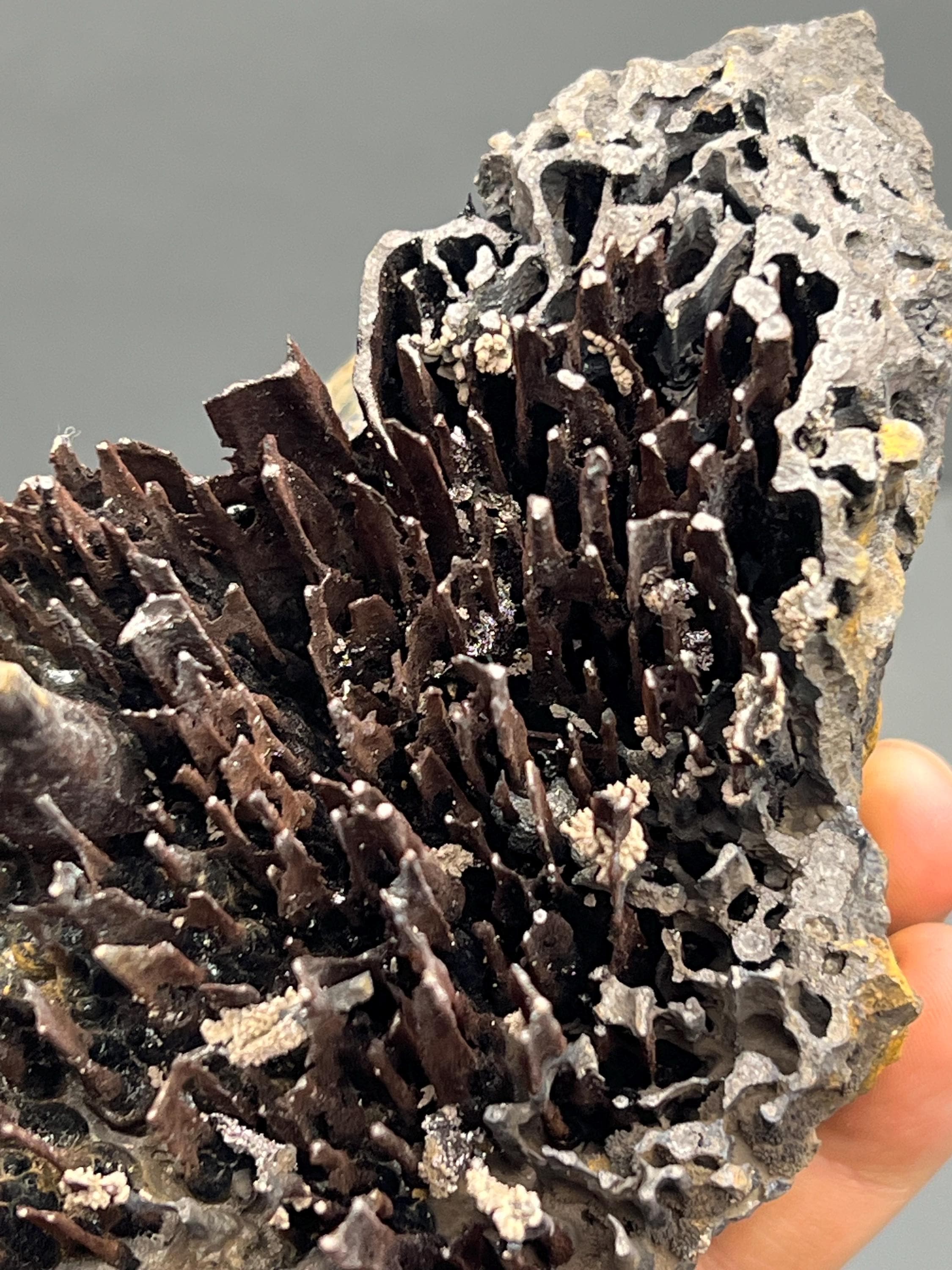 Museum Quality, Very Showy Limonite On Stalactite Goethite, For Special Collections - Crystal Gemstone AE 