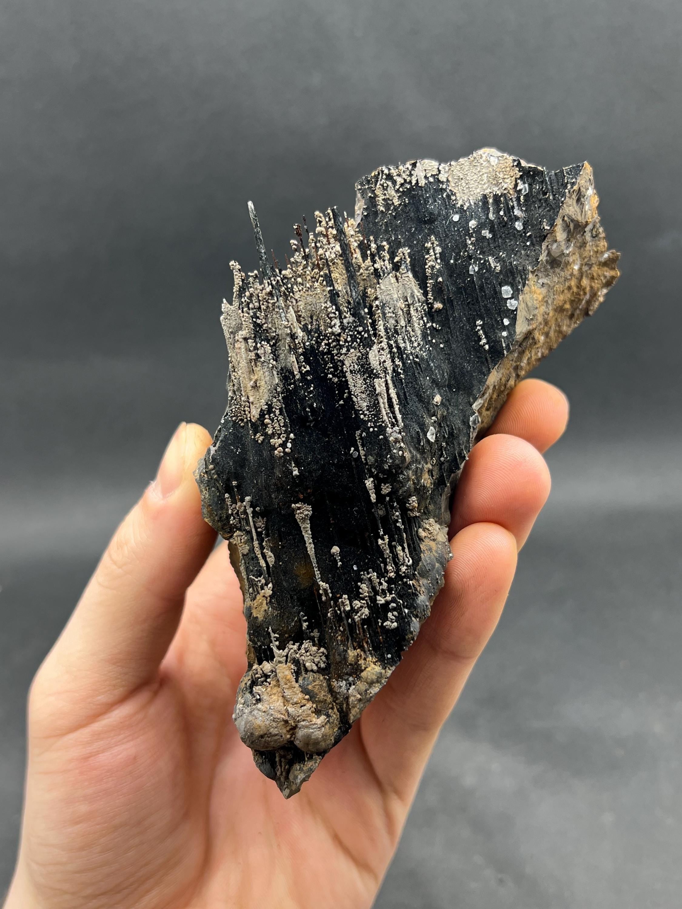 Showy Limonite And Specularite On Stalactite Goethite - Crystal Gemstone AE 
