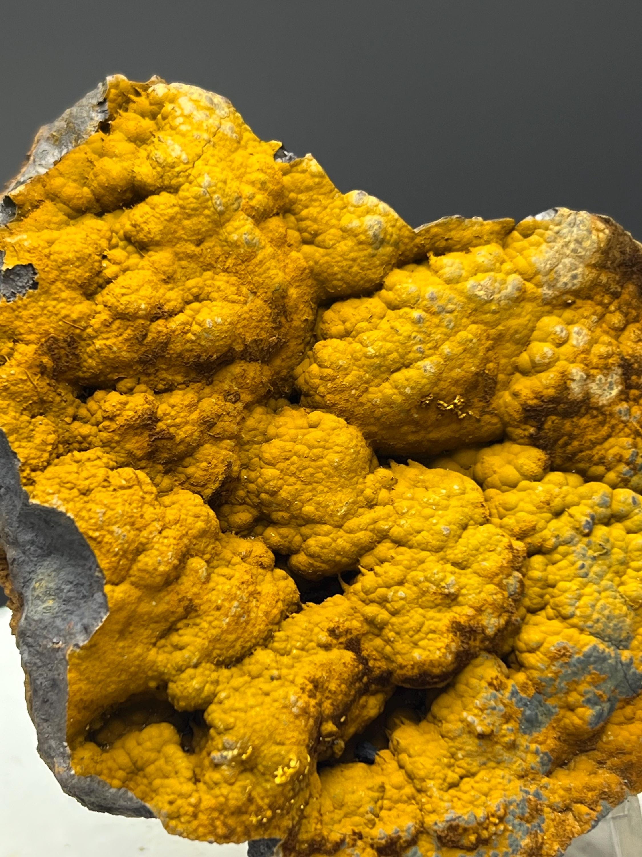 Very Special Quality, Limonite With Botryoidal Goethite Specimen - Crystal Gemstone AE 