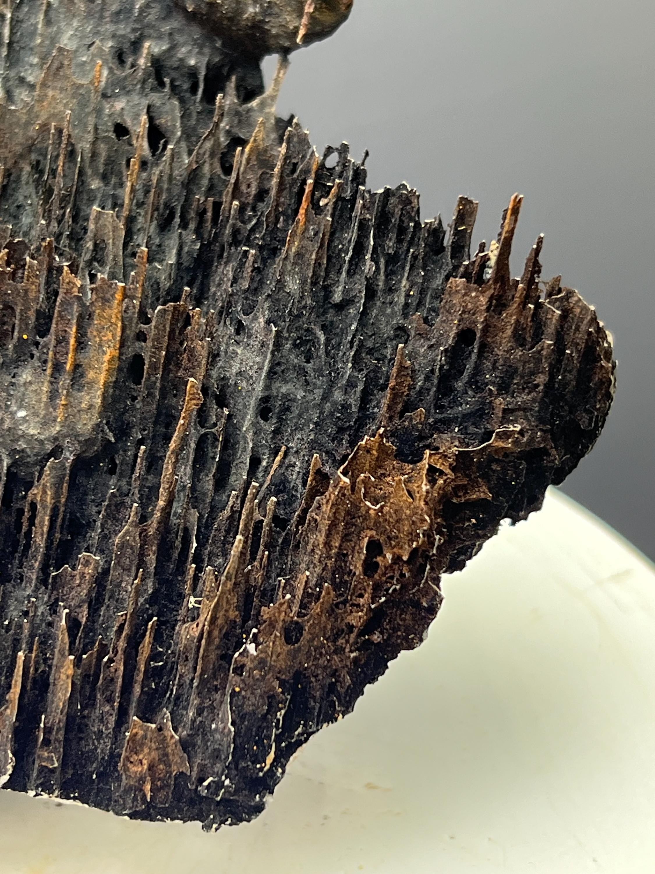 Very Showy Limonite With Stalactite Goethite Specimen - Crystal Gemstone AE 