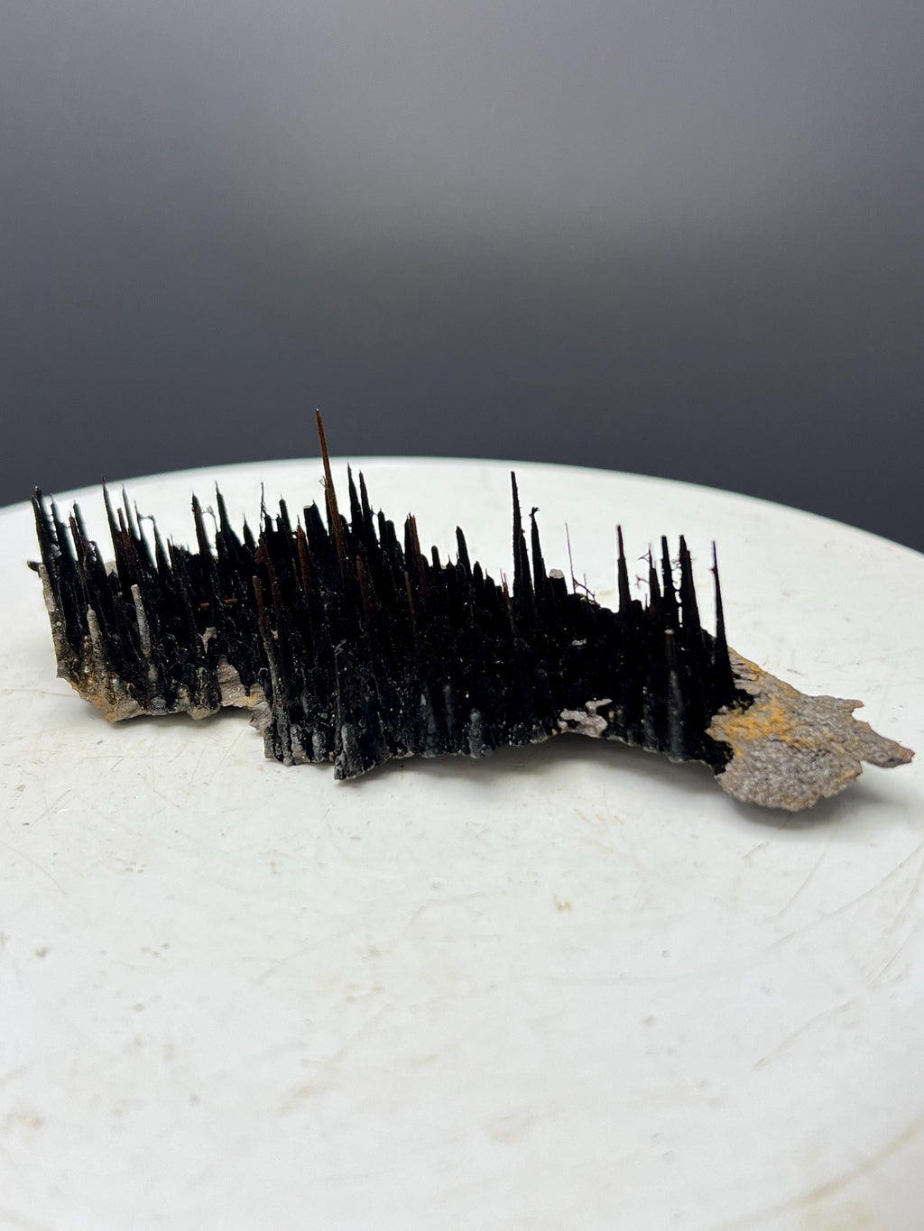 Museum Piece! Showy Stalactite Forest Goethite Specimen - Crystal Gemstone AE 