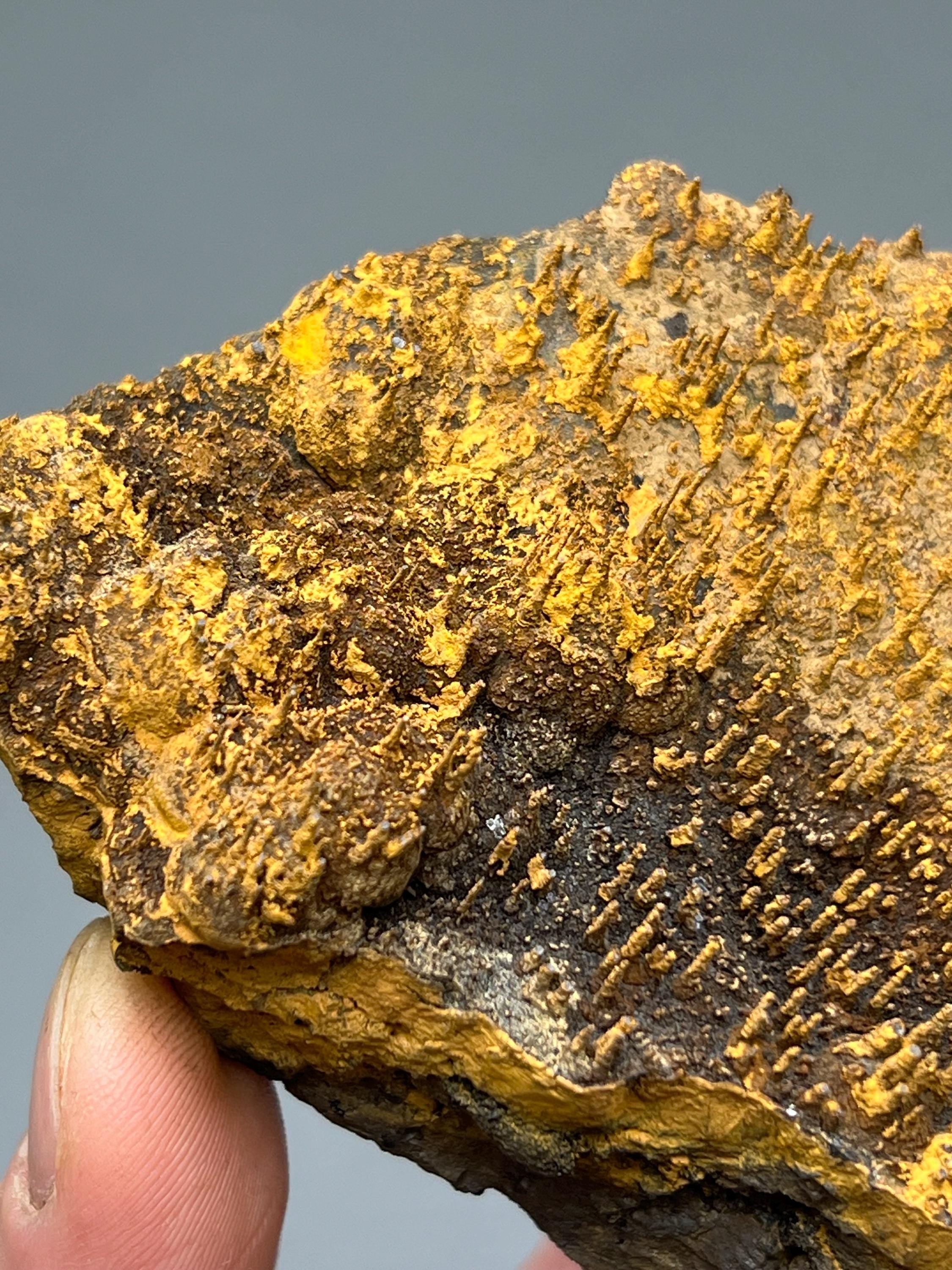 Museum quality, Very Showy Limonite On Stalactite Hematite, Special Collection Piece - Crystal Gemstone AE 