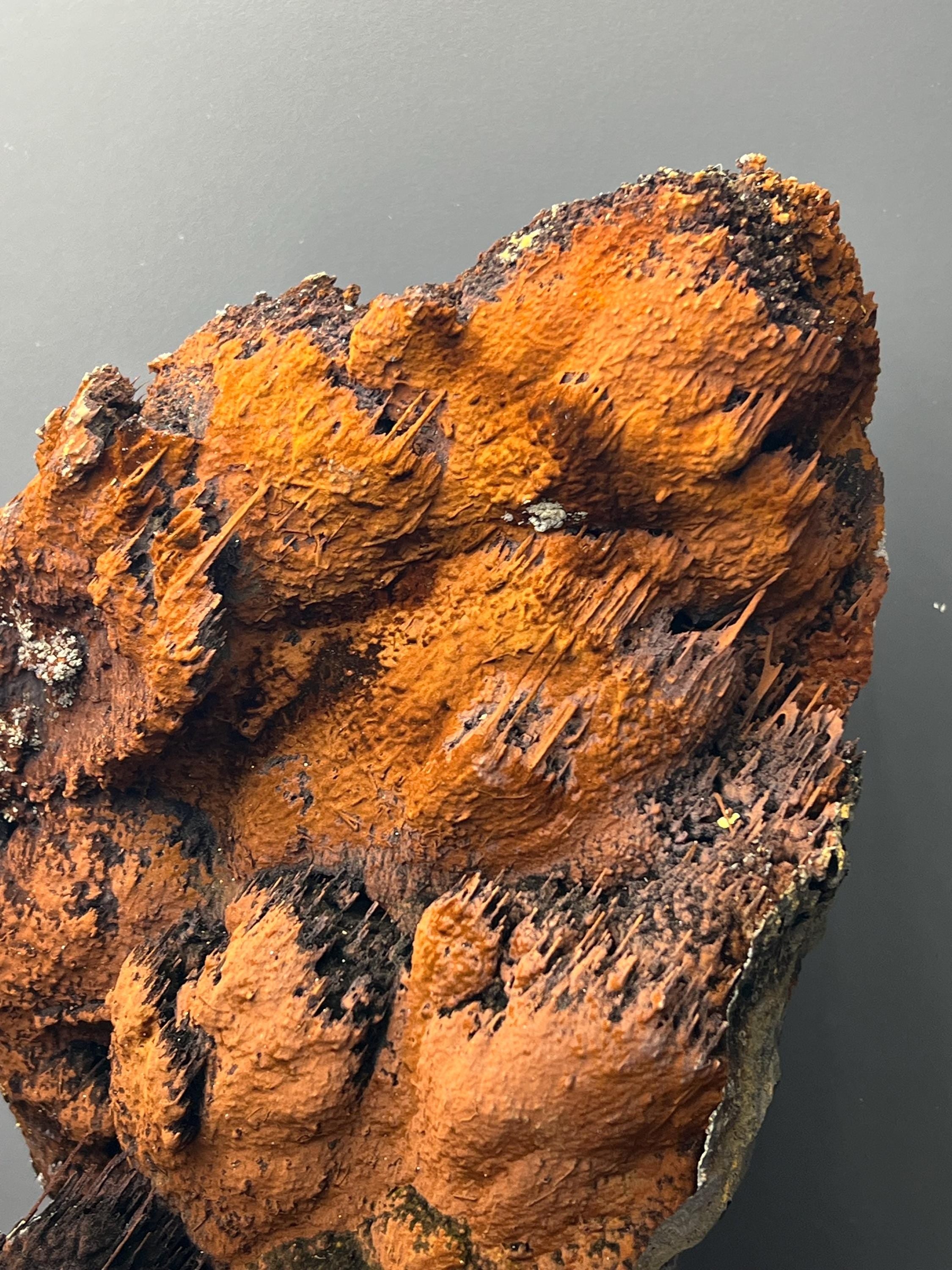 Stalactite Goethite with Limonite, Museum Quality Mineral Specimen - Crystal Gemstone AE 