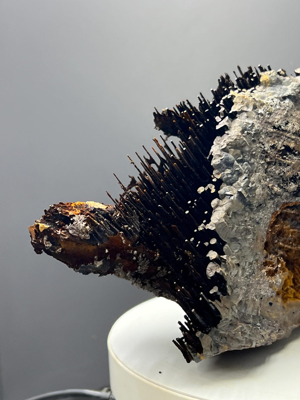 Museum Grade! Very Showy Limonite And Specularite With Stalactite Bridges Goethite Specimen - Crystal Gemstone AE 