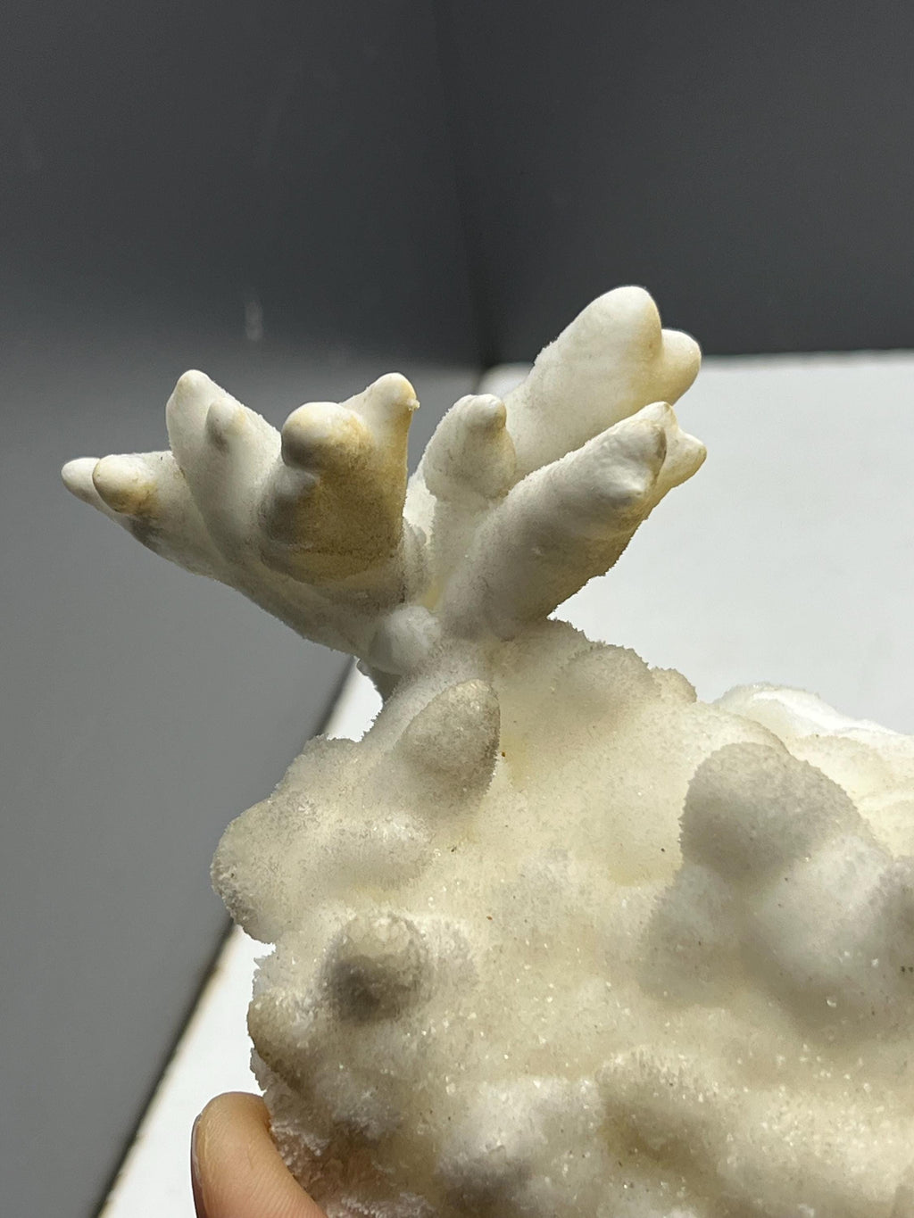 Very Special And Showy Stalactite And Botryoidal Formed Aragonite, From Turkey - Crystal Gemstone AE 