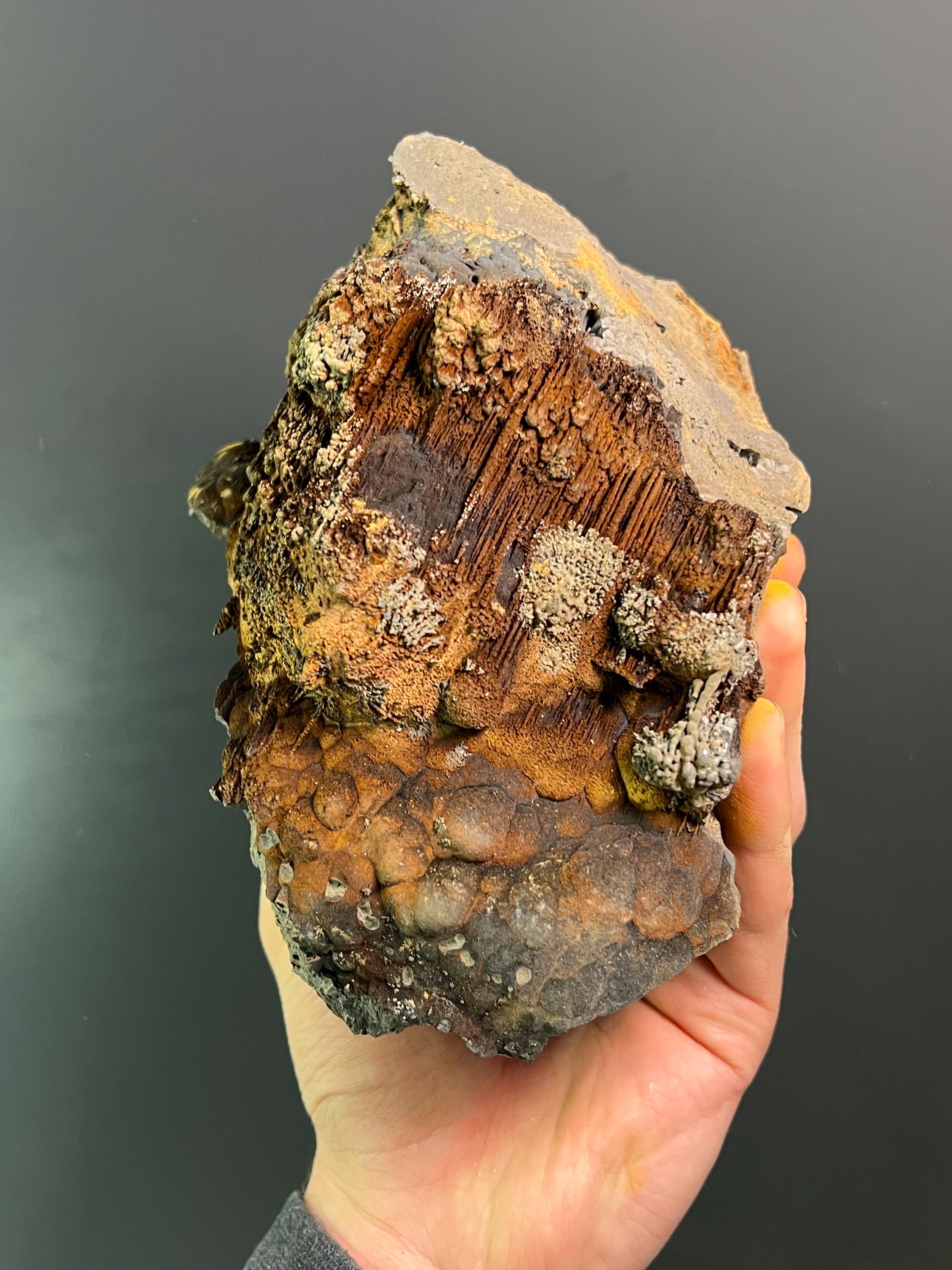 Museum Grade Limonite And Specularite On Stalactite And Botryoidal Formation Goethite - Crystal Gemstone AE 