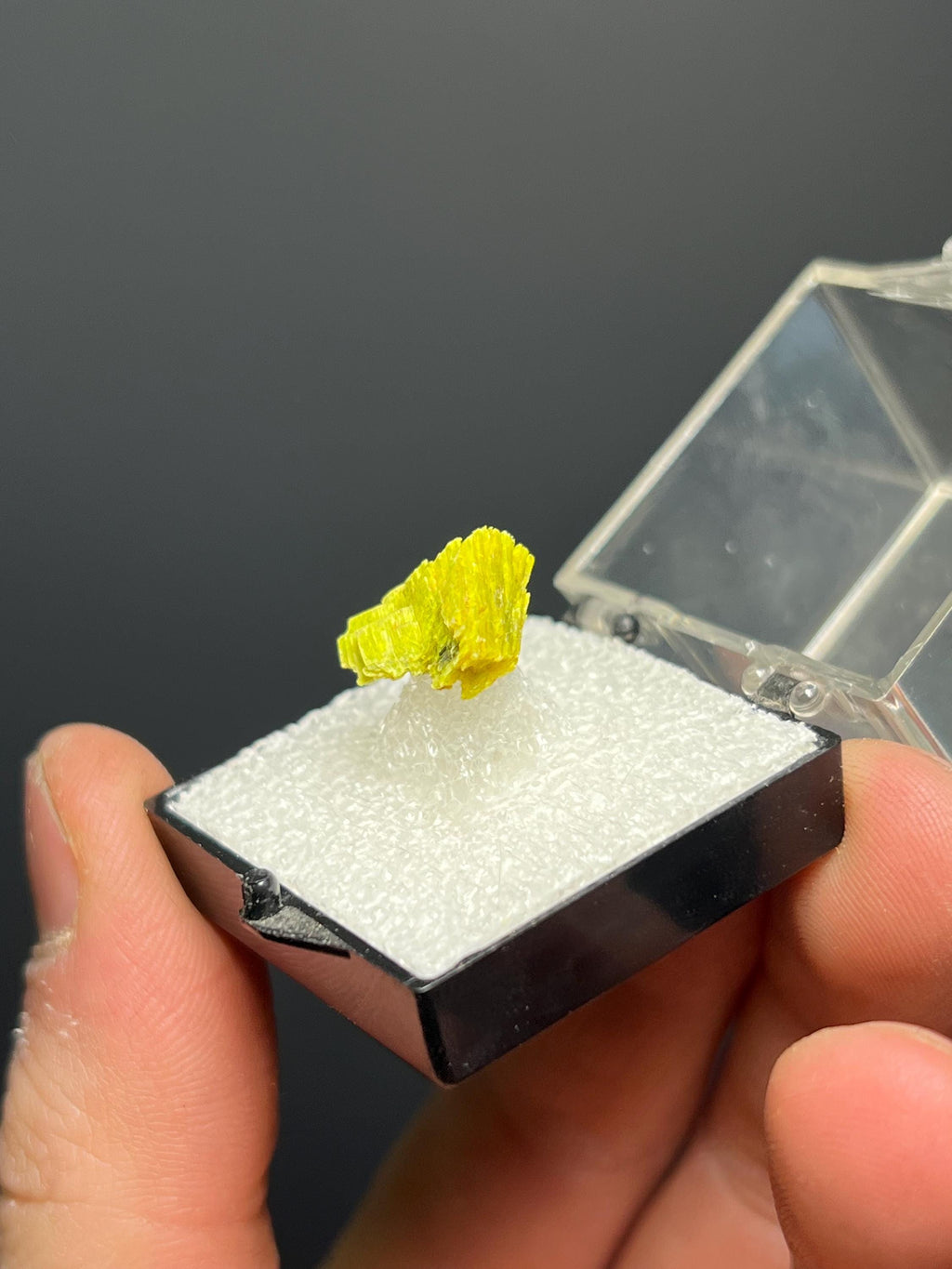 Unique, Uranocircite Specimen - Crystal Gemstone AE 