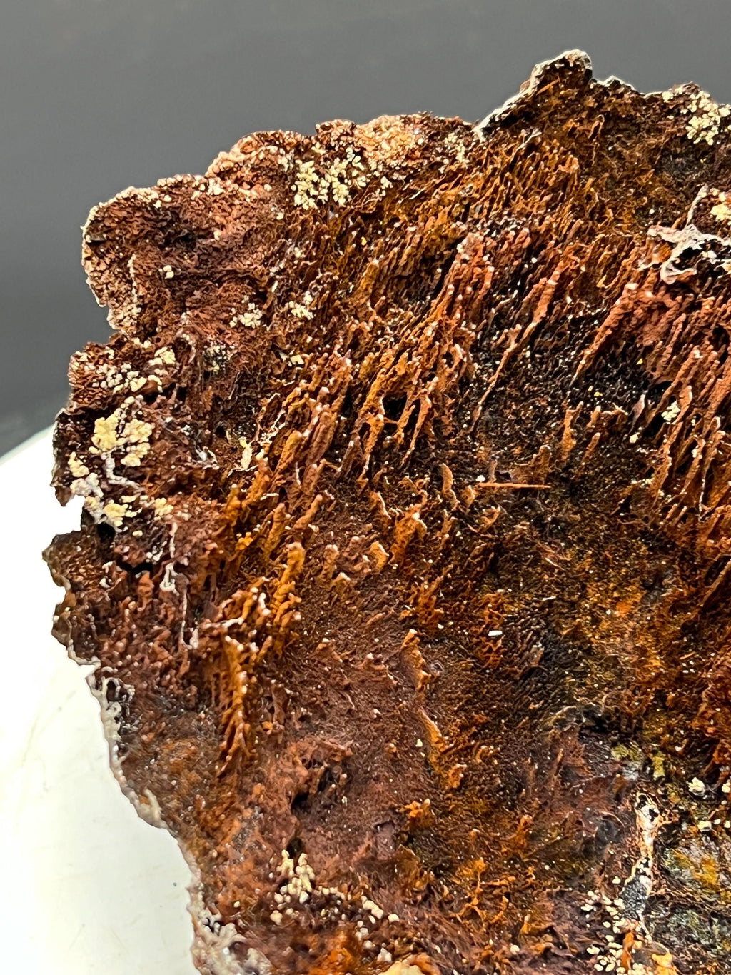 Museum Grade! Showy Limonite And Specularite With Stalactite Goethite Specimen - Crystal Gemstone AE 