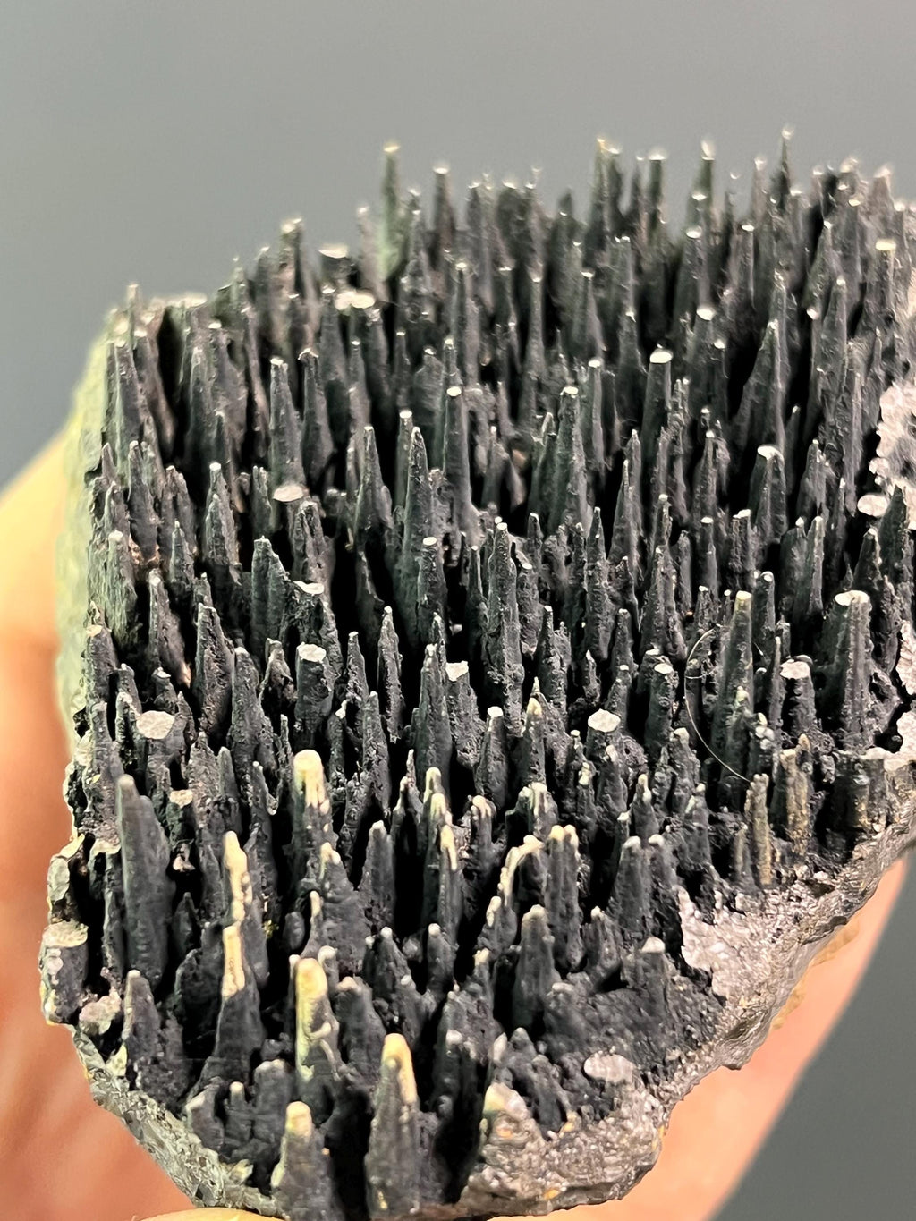 Museum Quality Forest Stalactite Goethite - Crystal Gemstone AE 