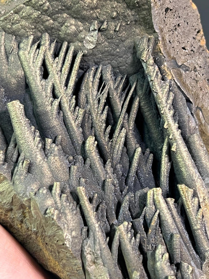 Museum Quality Very Special Golden Color Stalactite Goethite - Crystal Gemstone AE 