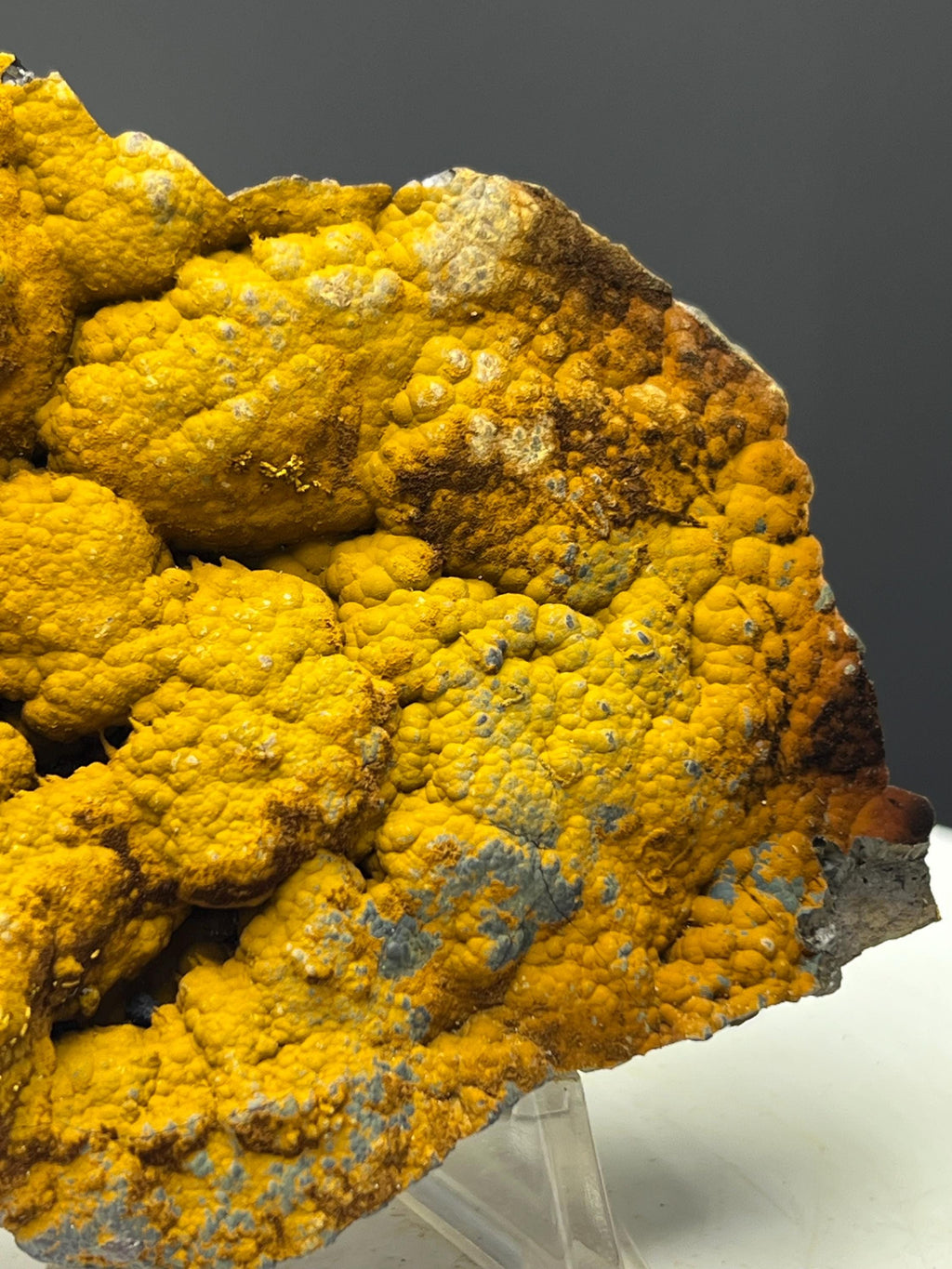 Very Special Quality, Limonite With Botryoidal Goethite Specimen - Crystal Gemstone AE 
