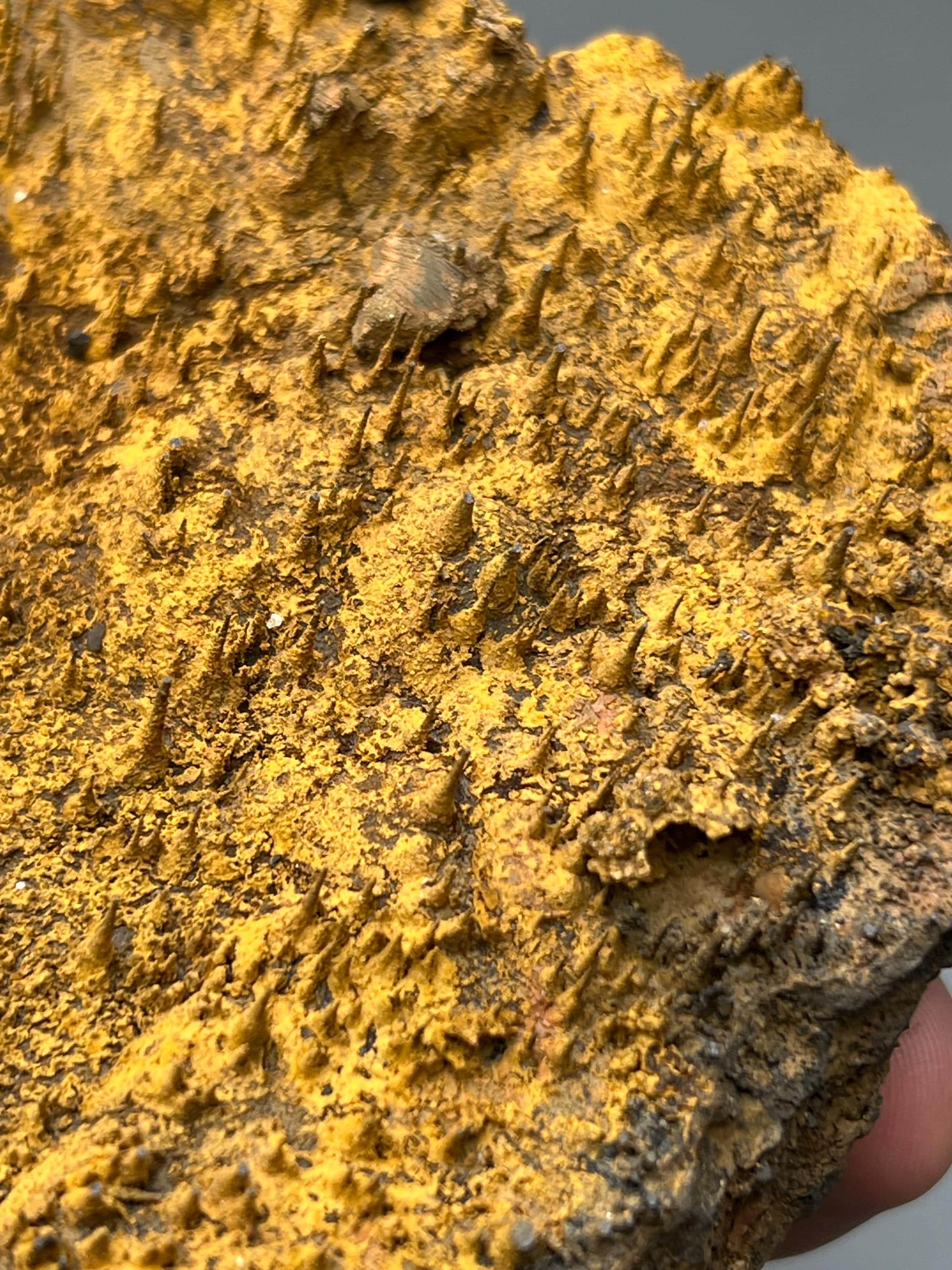 Museum quality, Very Showy Limonite On Stalactite Hematite, Special Collection Piece - Crystal Gemstone AE 