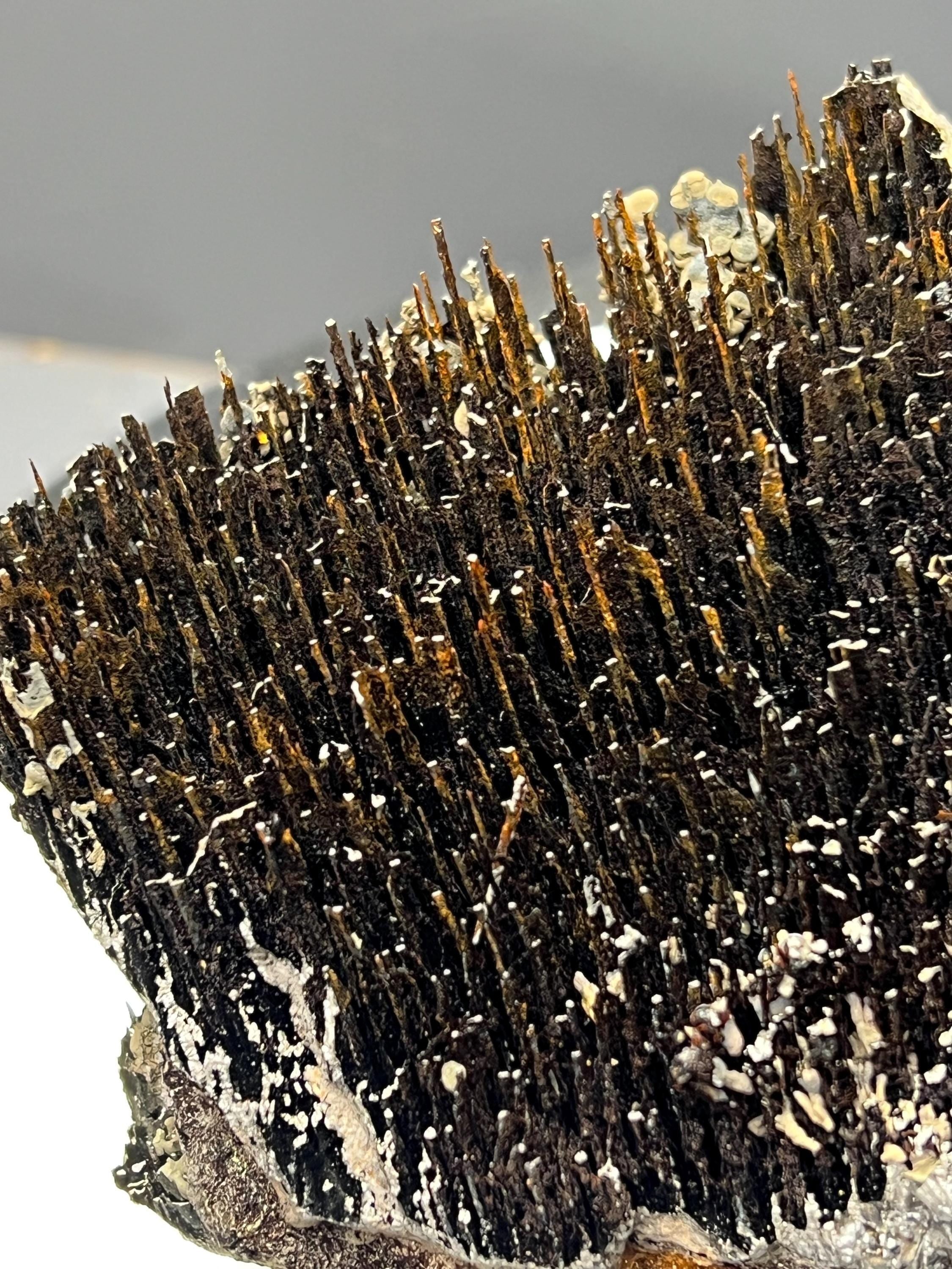 Museum Quality! Limonite With Stalactite Goethite Specimen - Crystal Gemstone AE 