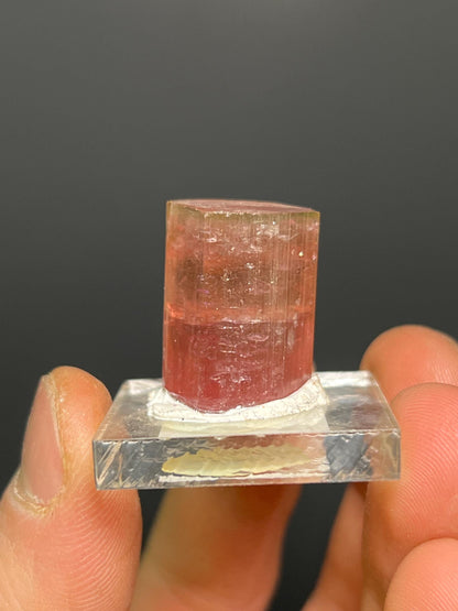 Watermelon Tourmaline Specimen - Crystal Gemstone AE 