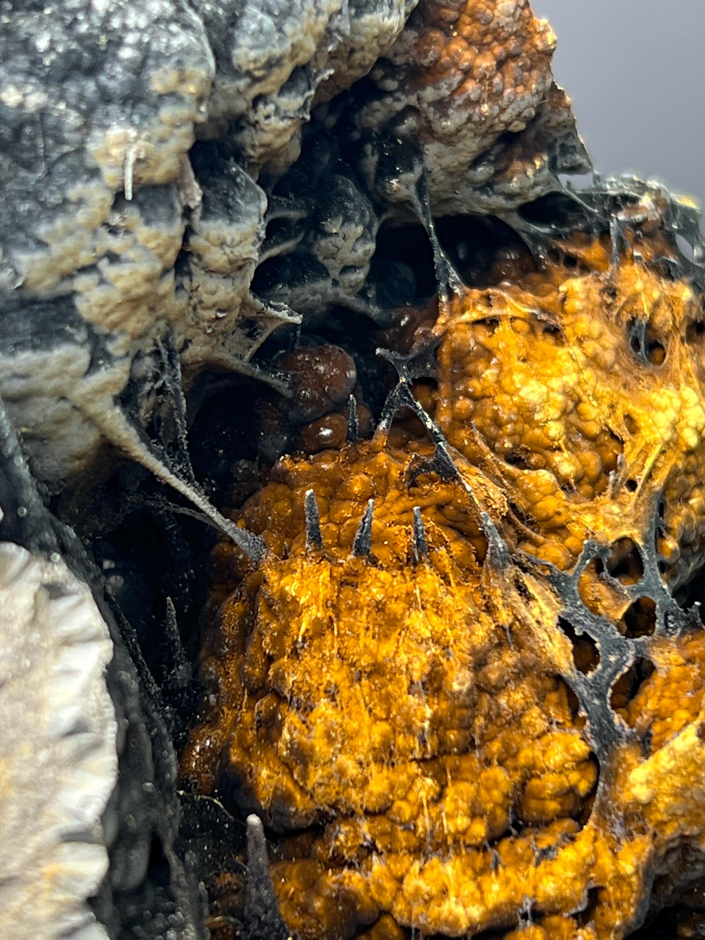Museum Grade Limonite With Spider Web Formation Stalactite Goethite - Crystal Gemstone AE 