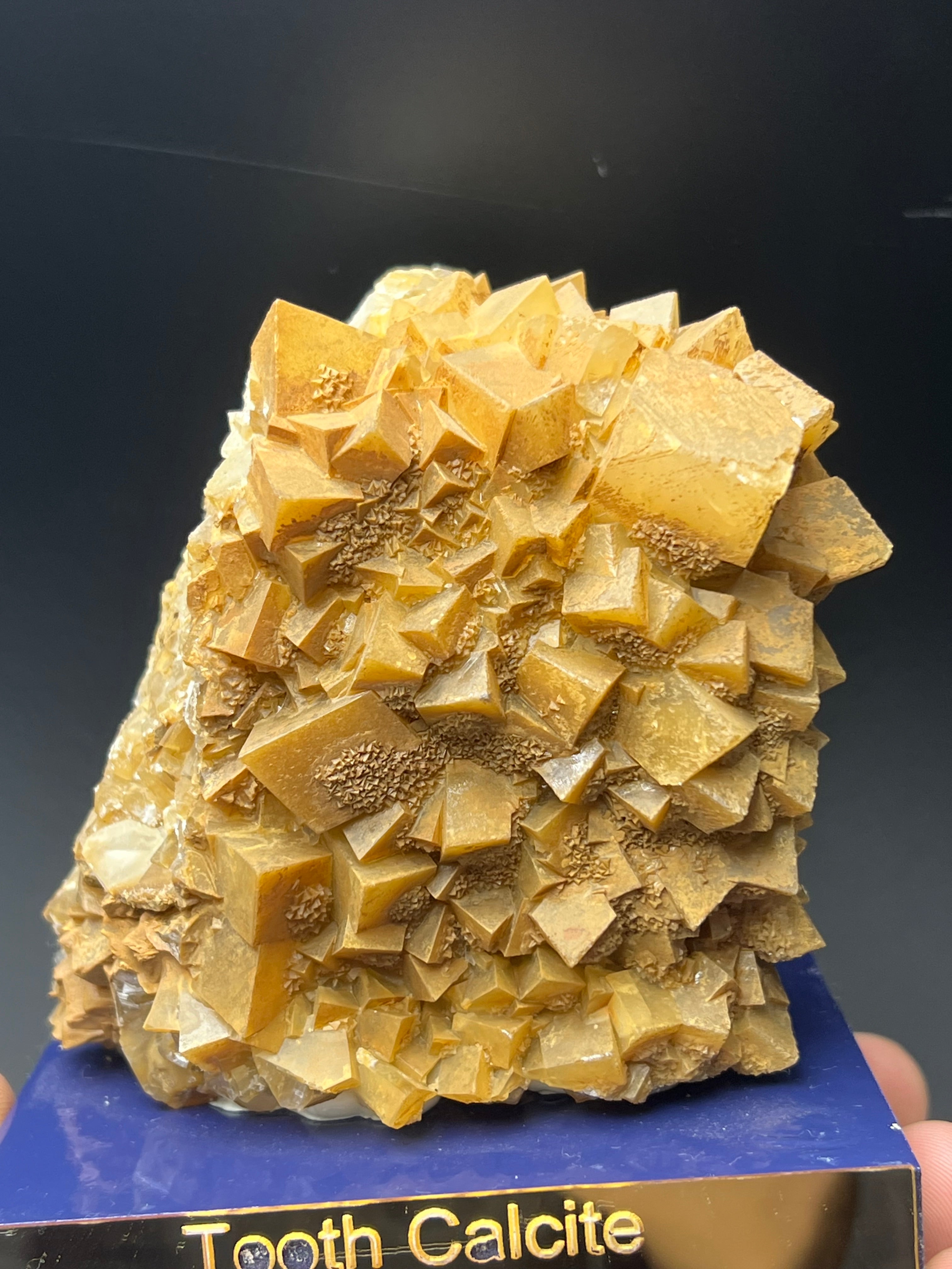 Tooth Orange Crystal Calcite Specimen