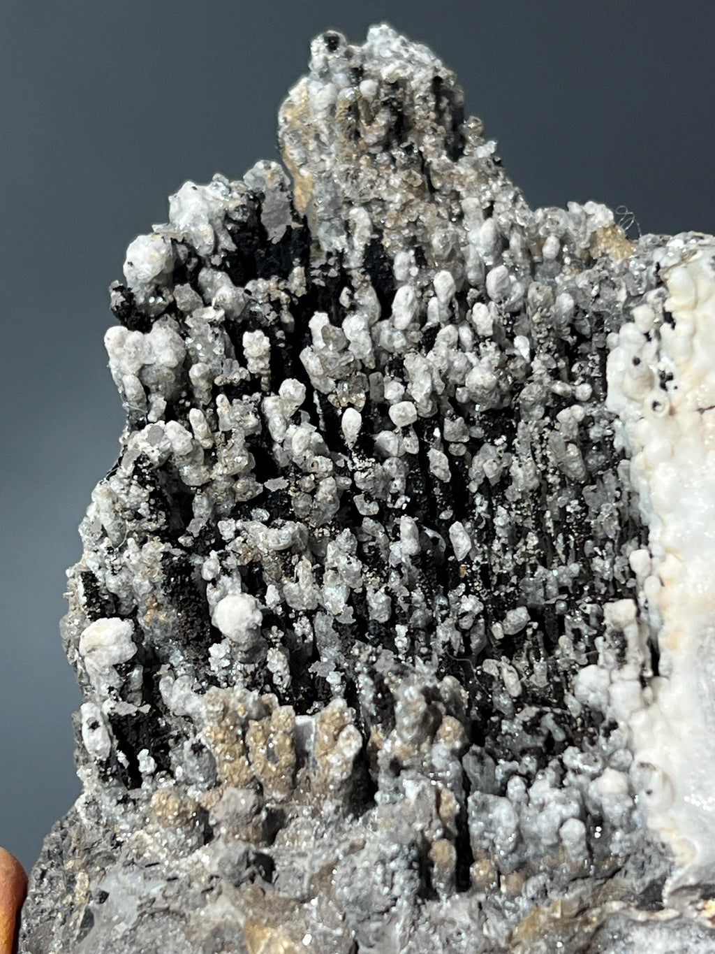 Museum Quality, Unique Crystal Calcite On Stalactite Goethite - Crystal Gemstone AE 