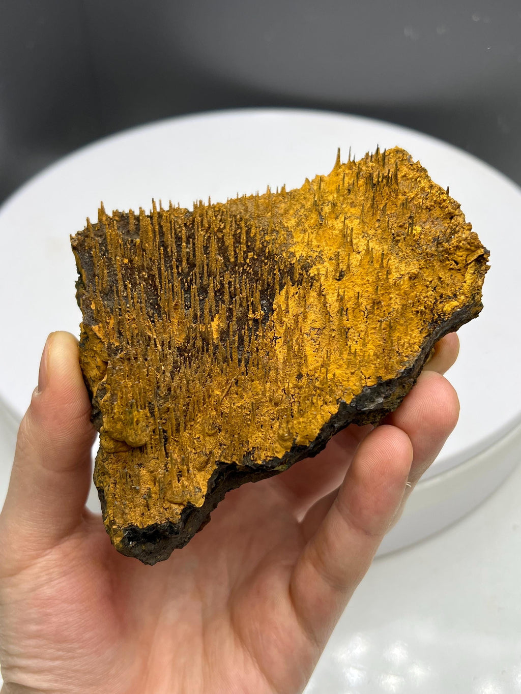 Special Formation! Limonite On Stalactite Hematite - Crystal Gemstone AE 