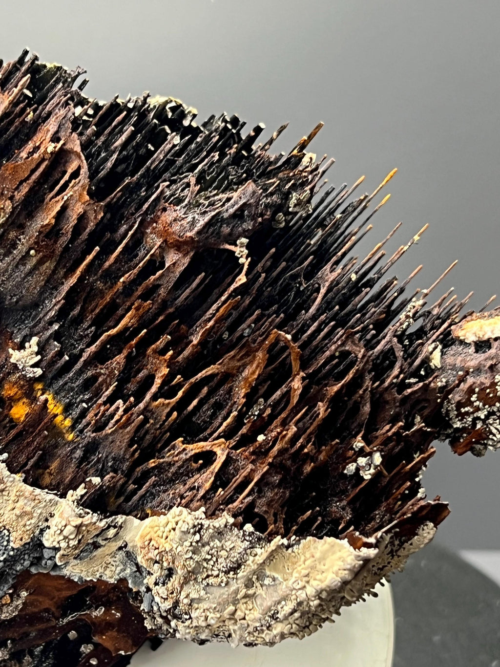 Museum Grade! Very Showy Limonite And Specularite With Stalactite Bridges Goethite Specimen - Crystal Gemstone AE 