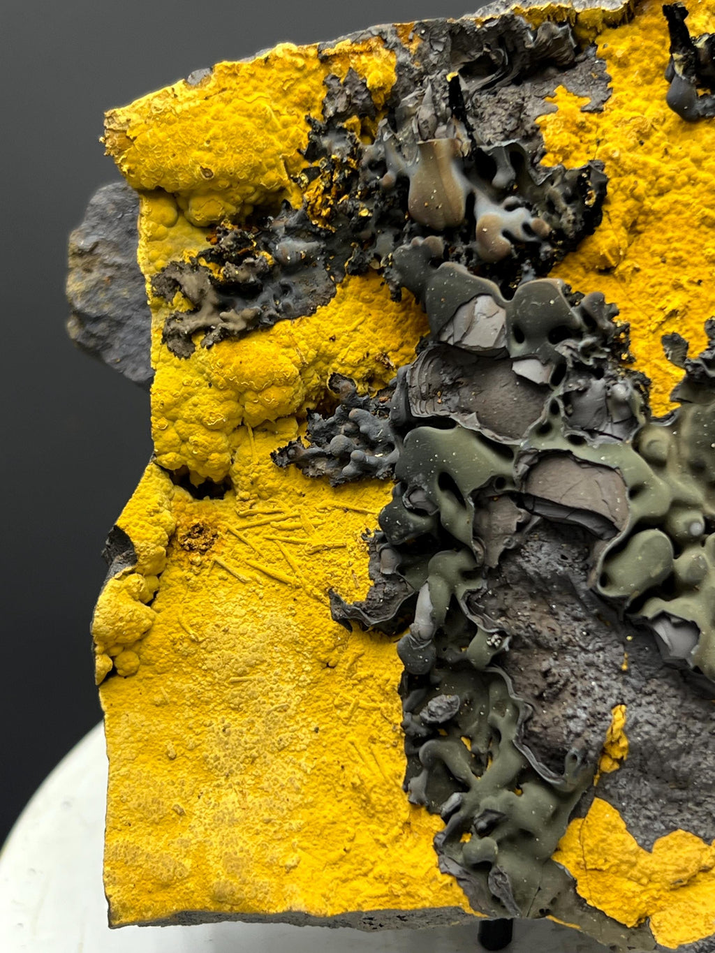 Museum Grade, Very Special Limonite With Small Stalactites Goethite Specimen - Crystal Gemstone AE 