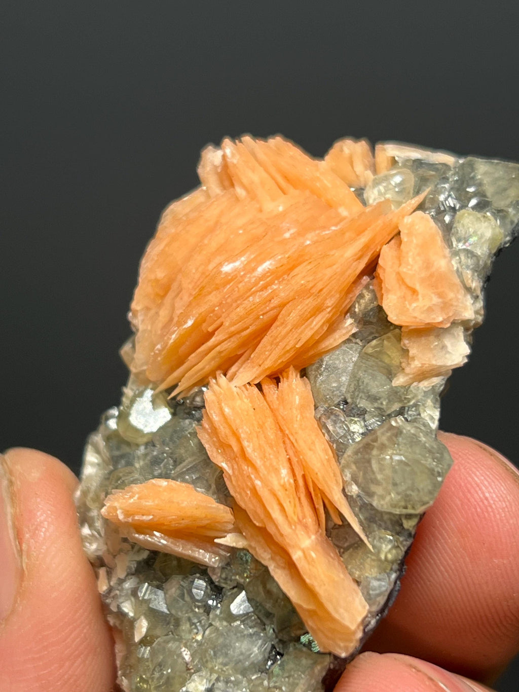 Cerussite And Barite On Galena Specimen, 68gram - Crystal Gemstone AE 