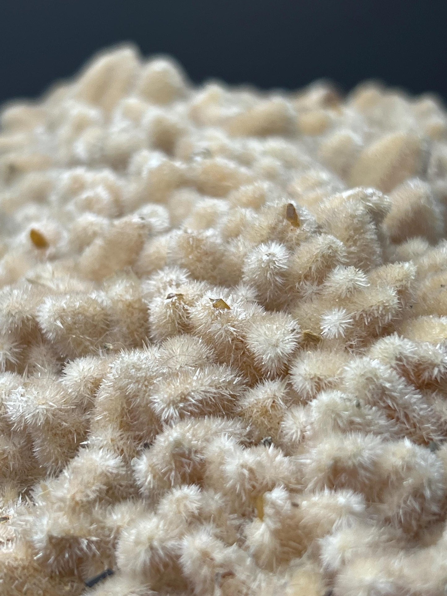 Feather Crystal Calcite Specimen