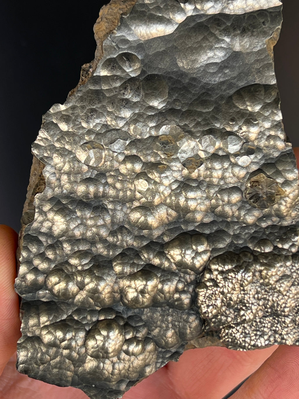 “Museum Grade” Golden Color 2 Sided Botryoidal Goethite