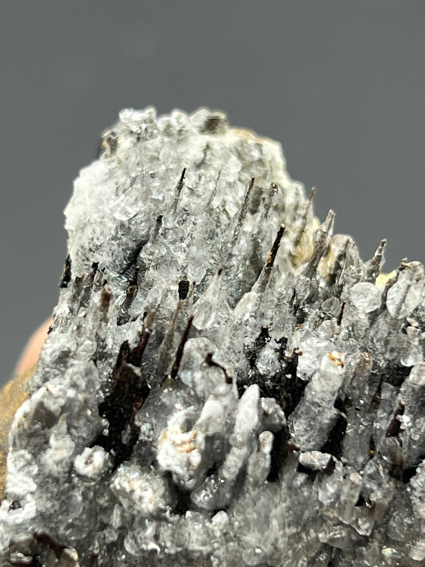 Museum Quality! Crystal Calcite On Stalactite Hematite