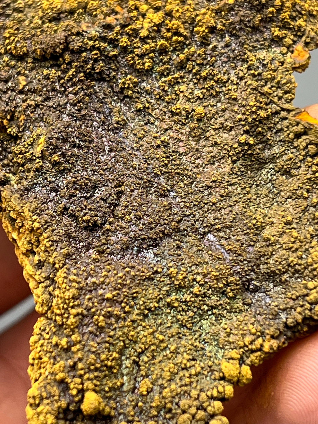 Very Special, 2 Sided Colored Alloy Limonite Mineral, From Turkey - Crystal Gemstone AE 