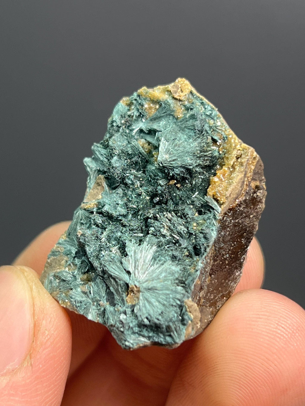 Rare Gormanite Specimen - Crystal Gemstone AE 