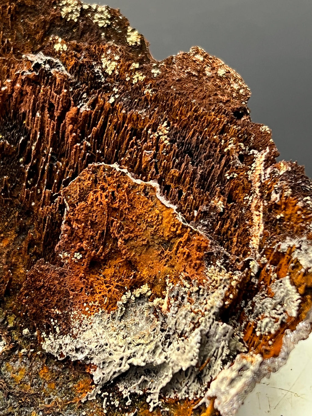 Museum Grade! Showy Limonite And Specularite With Stalactite Goethite Specimen - Crystal Gemstone AE 