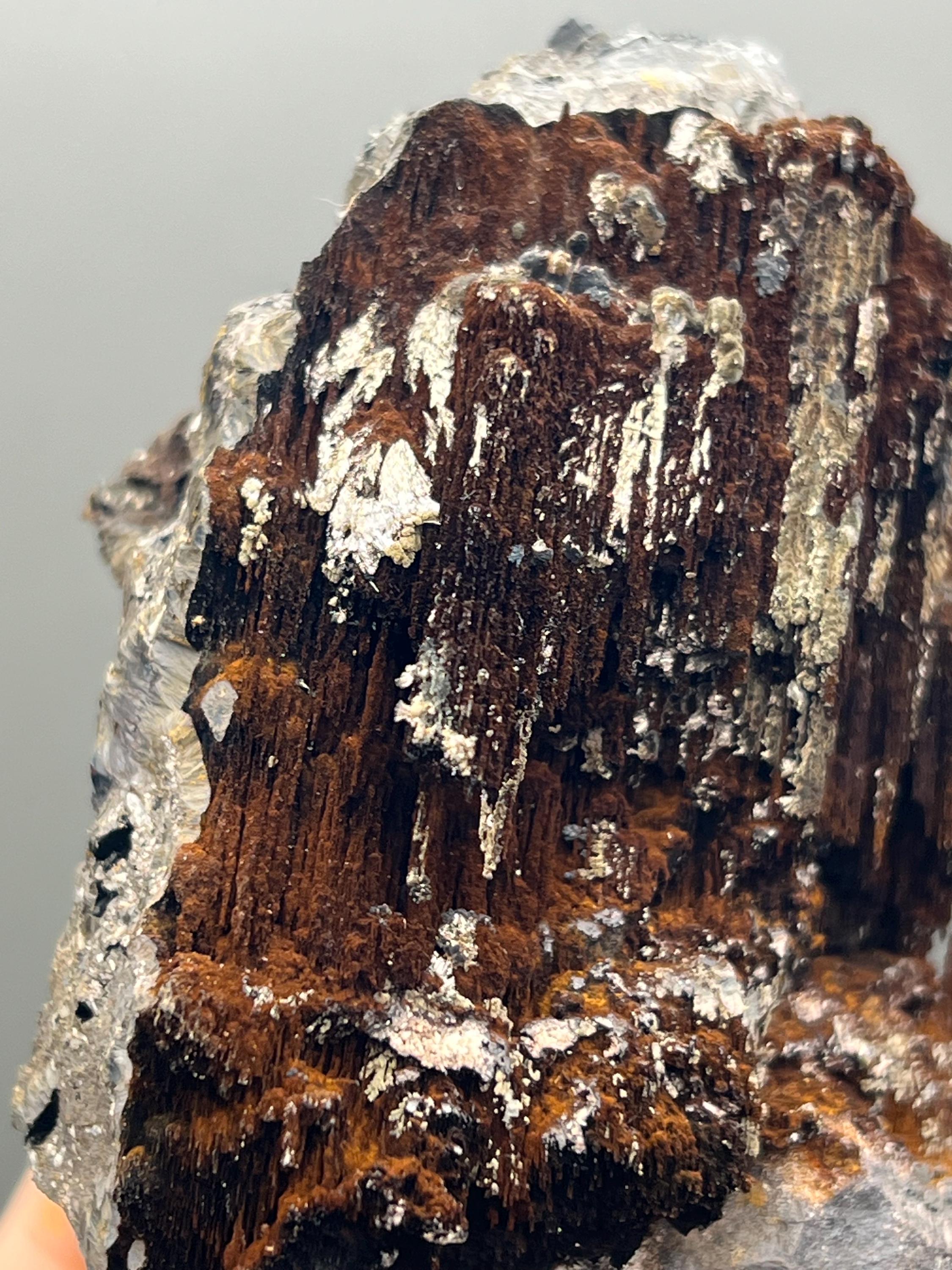 Limonite And Specularite On Stalactite Goethite - Crystal Gemstone AE 