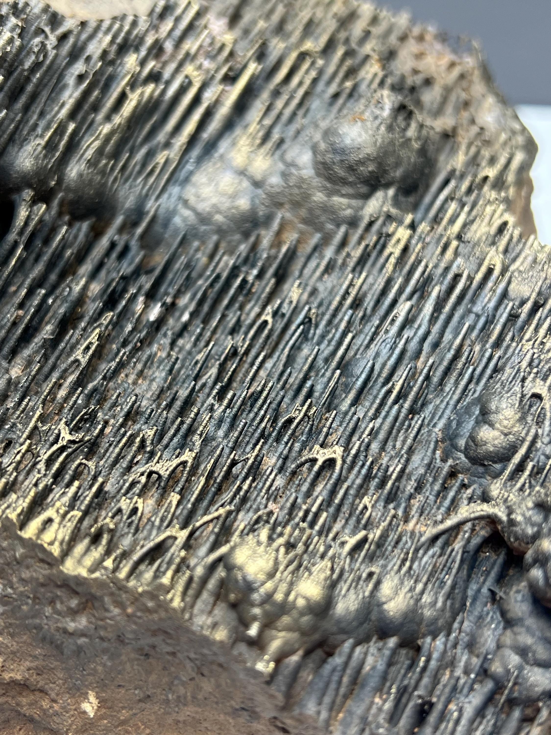 Museum quality, Extra Large Golden Color Stalactite Goethite, From Turkey, Very Special Collection Piece - Crystal Gemstone AE 