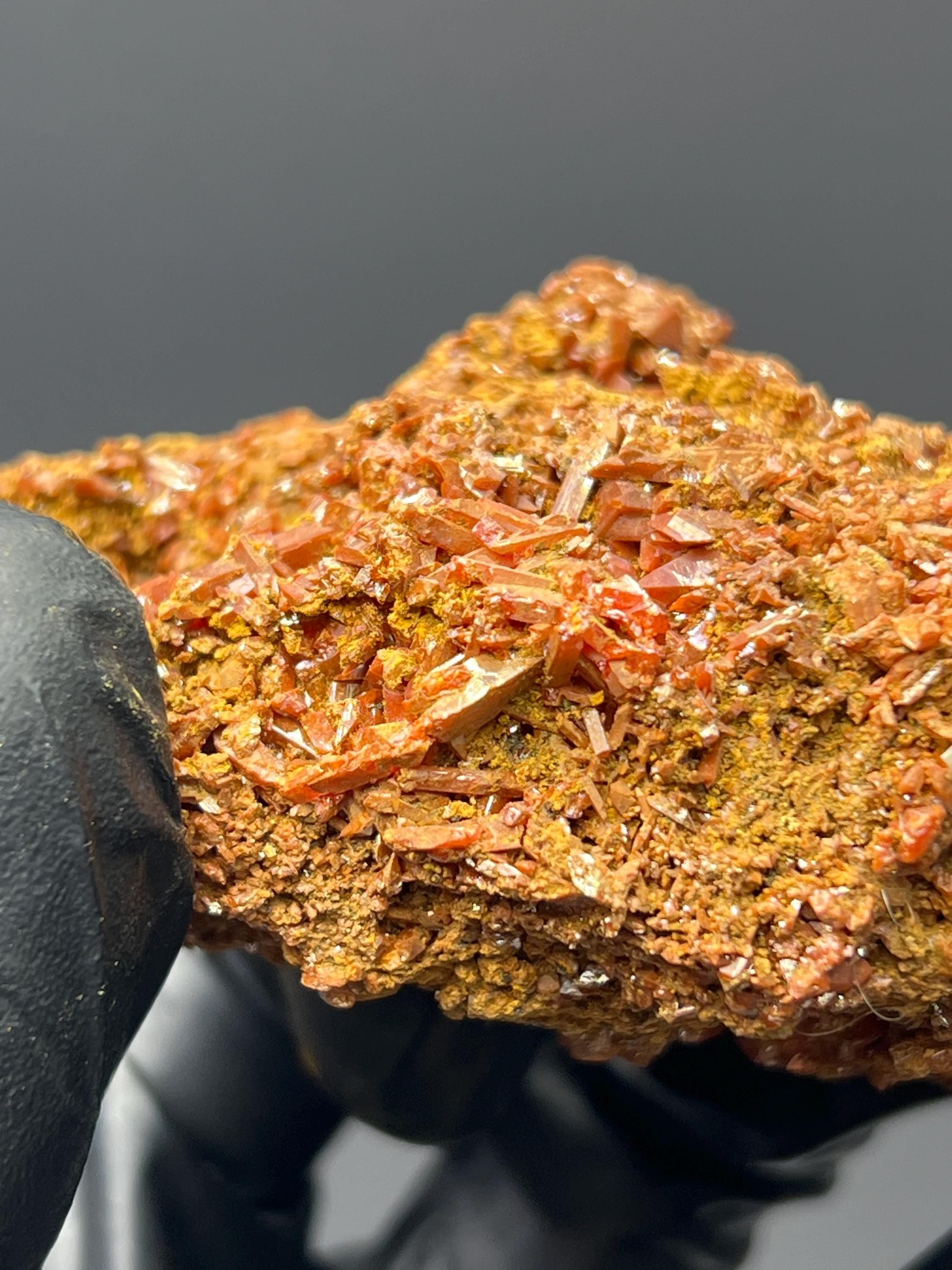 Adelaide Mine Crocoite Specimen - Tasmania Red Crystals - Crystal Gemstone AE 