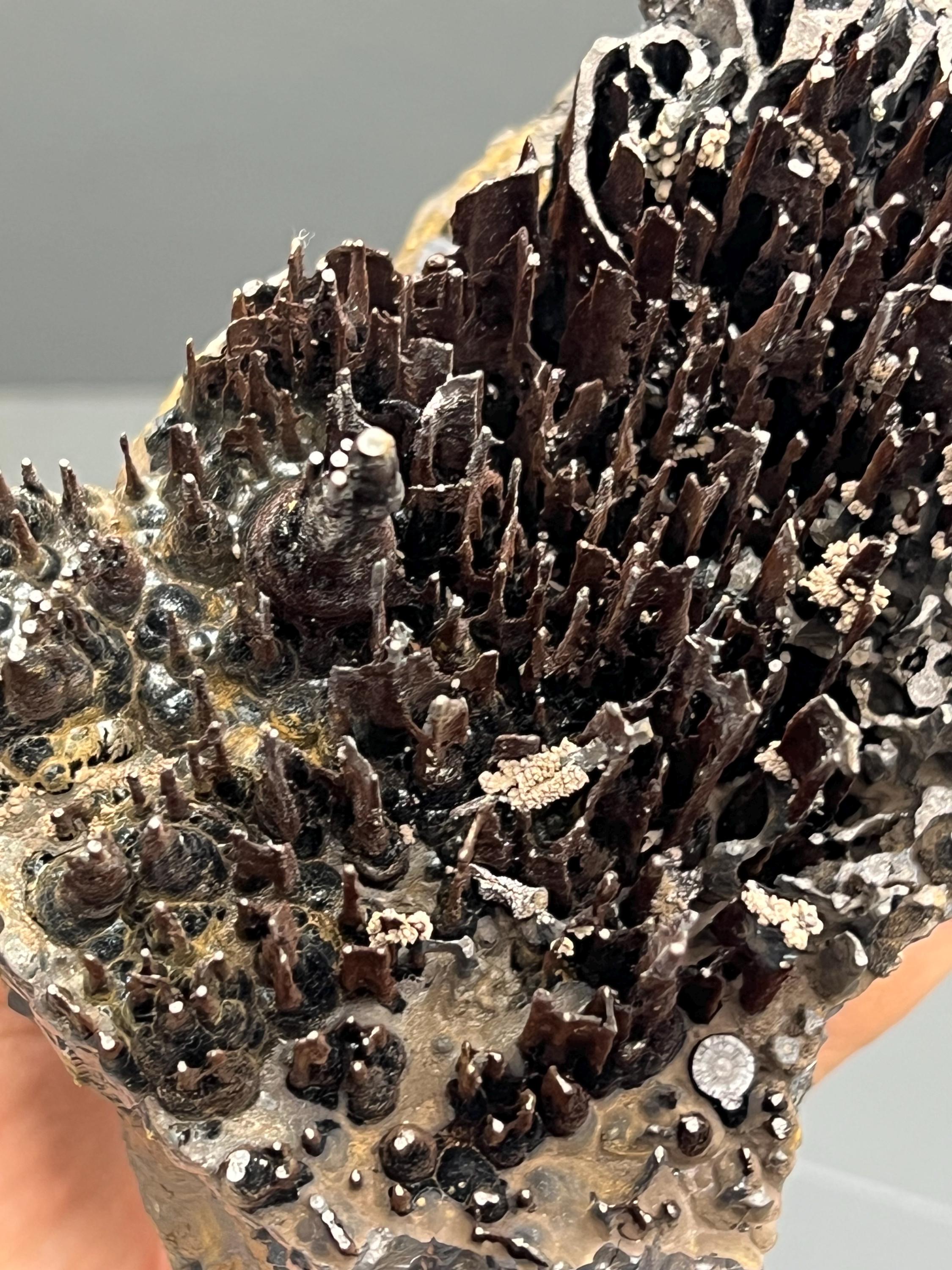 Museum Quality, Very Showy Limonite On Stalactite Goethite, For Special Collections - Crystal Gemstone AE 