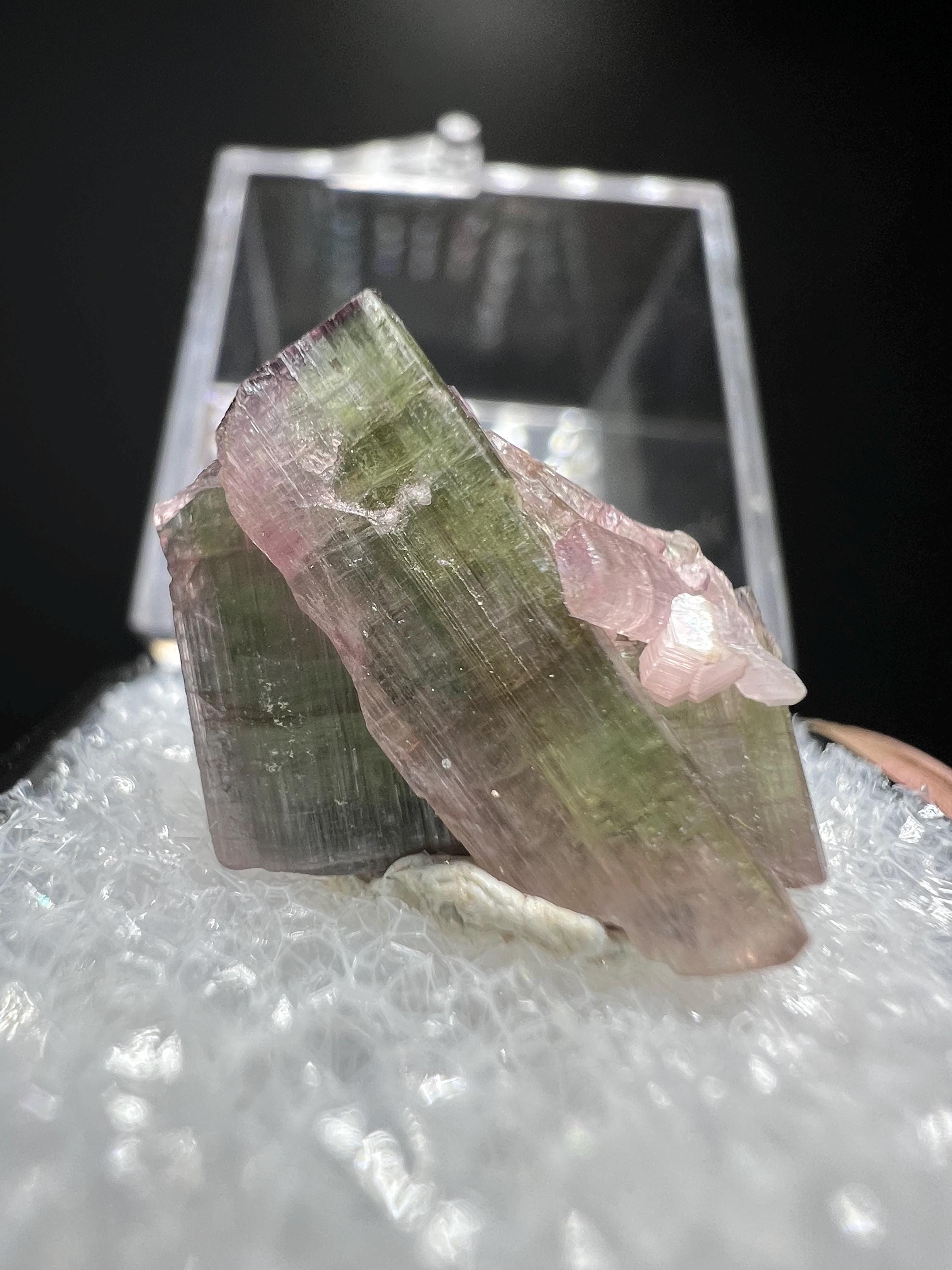 Elbaite Tourmaline Specimen - Crystal Gemstone AE 