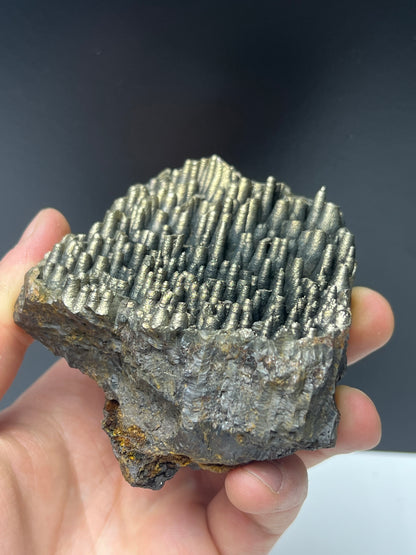 “Museum Grade” Golden Color Stalactite Goethite