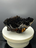 Museum Quality! Limonite With Stalactite Goethite Specimen - Crystal Gemstone AE 