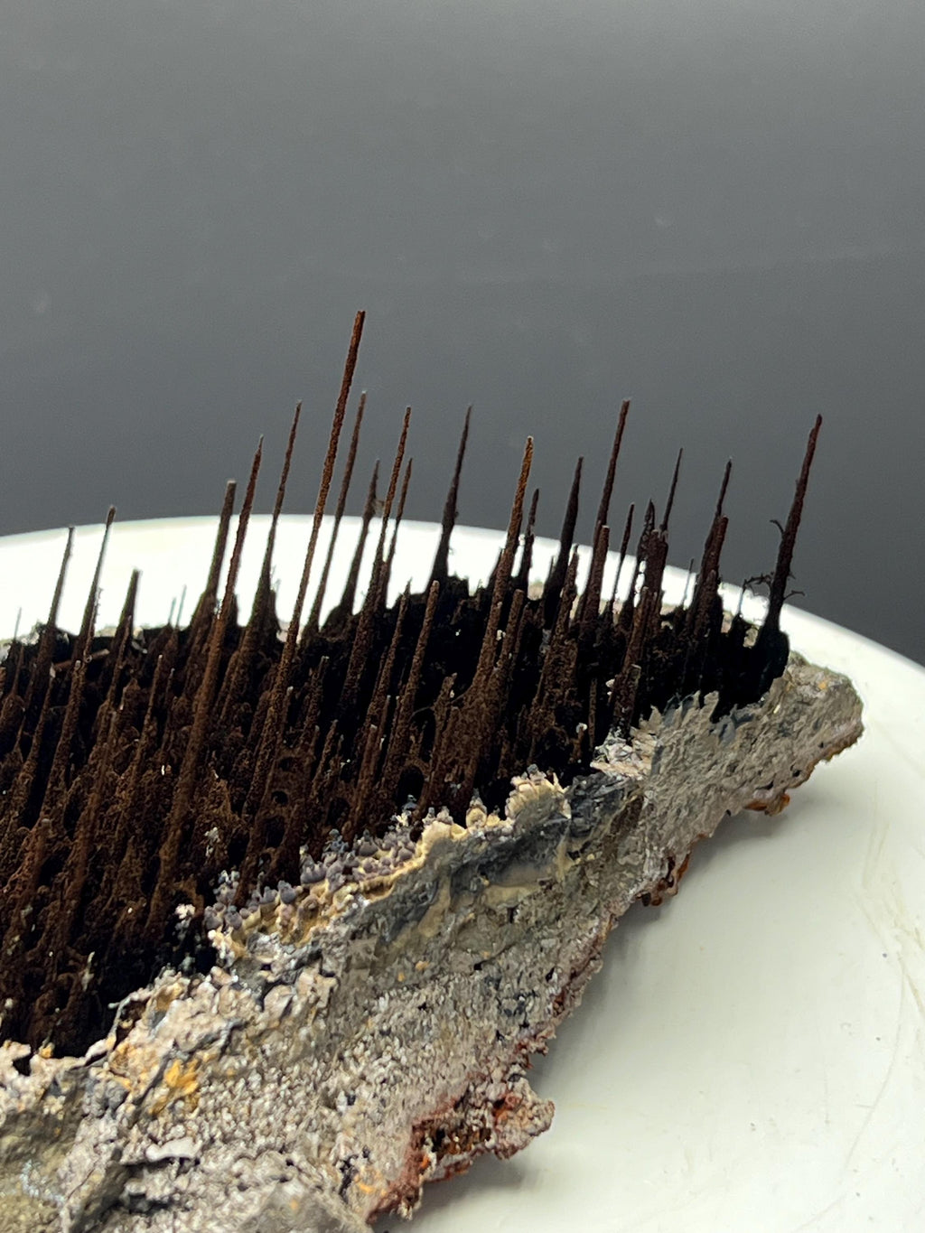 Museum Grade, Limonite With Stalactite Forest Goethite, For Special Collection - Crystal Gemstone AE 