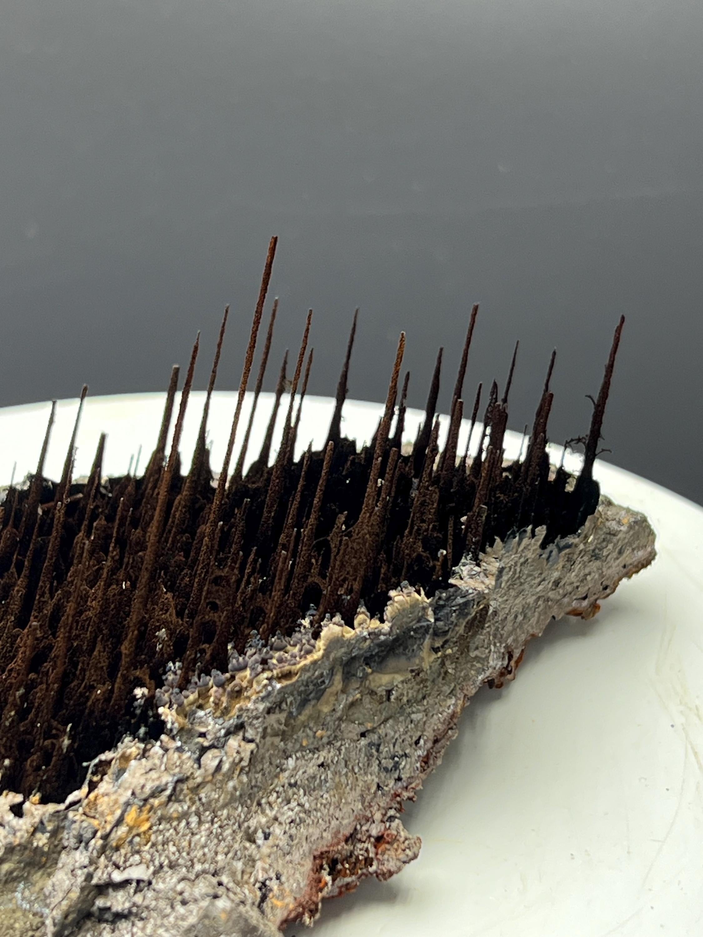 Museum Grade, Limonite With Stalactite Forest Goethite, For Special Collection - Crystal Gemstone AE 