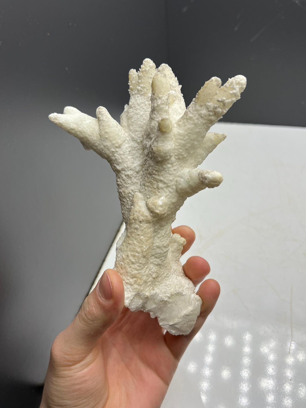 Very Special And Showy Stalactite Aragonite Mineral, From Turkey - Crystal Gemstone AE 
