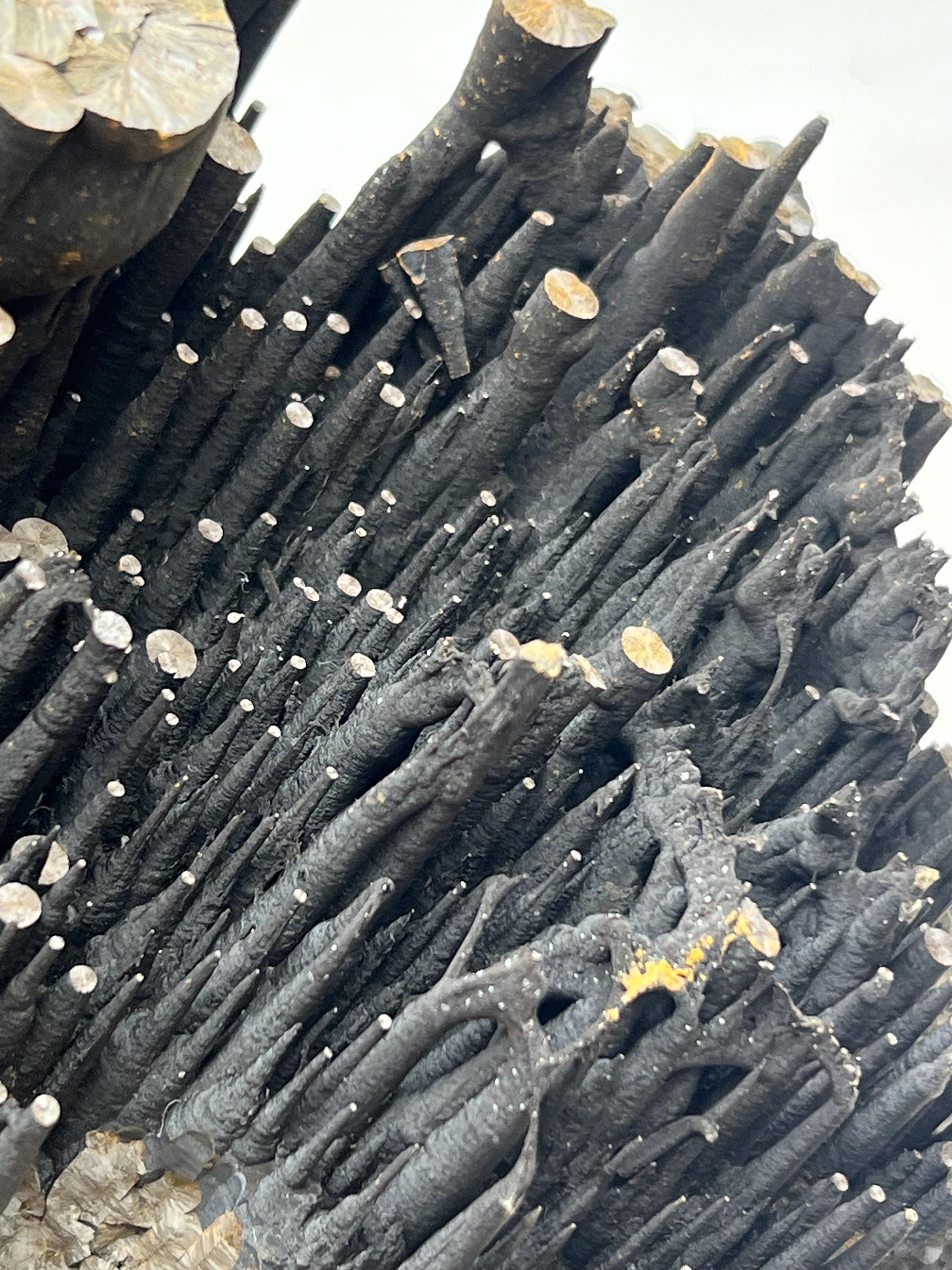 Large Stalactite Goethite Mineral, Stalactite Bridges, Turkey - Crystal Gemstone AE 
