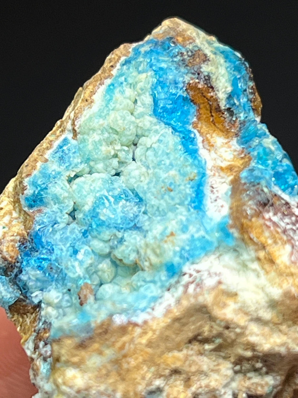 Blue Veszelyite Crystals on Botryoidal Hemimorphite - Crystal Gemstone AE 