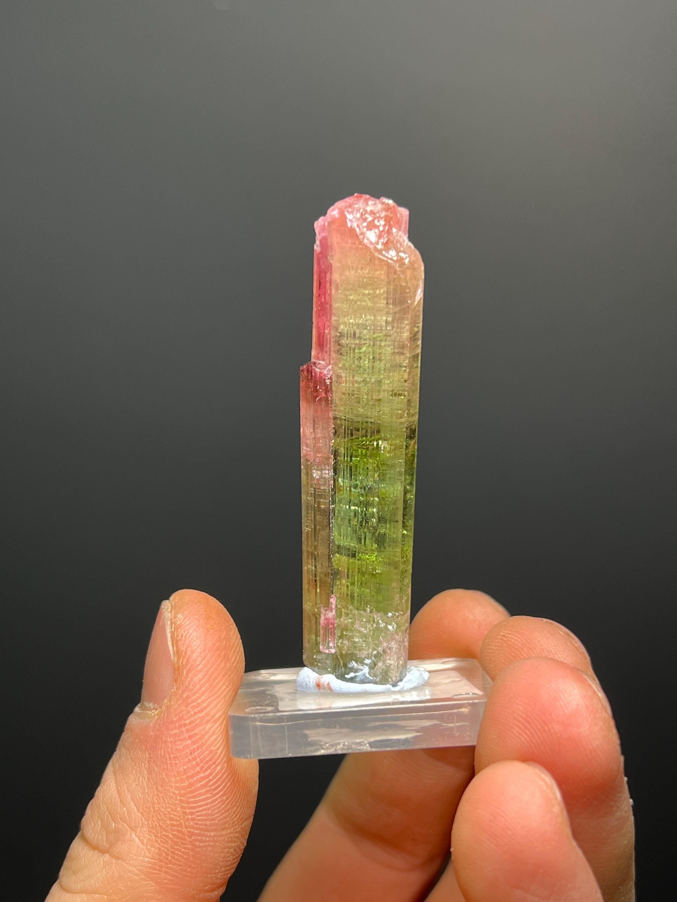 Special Elbaite Tourmaline Specimen - Crystal Gemstone AE 