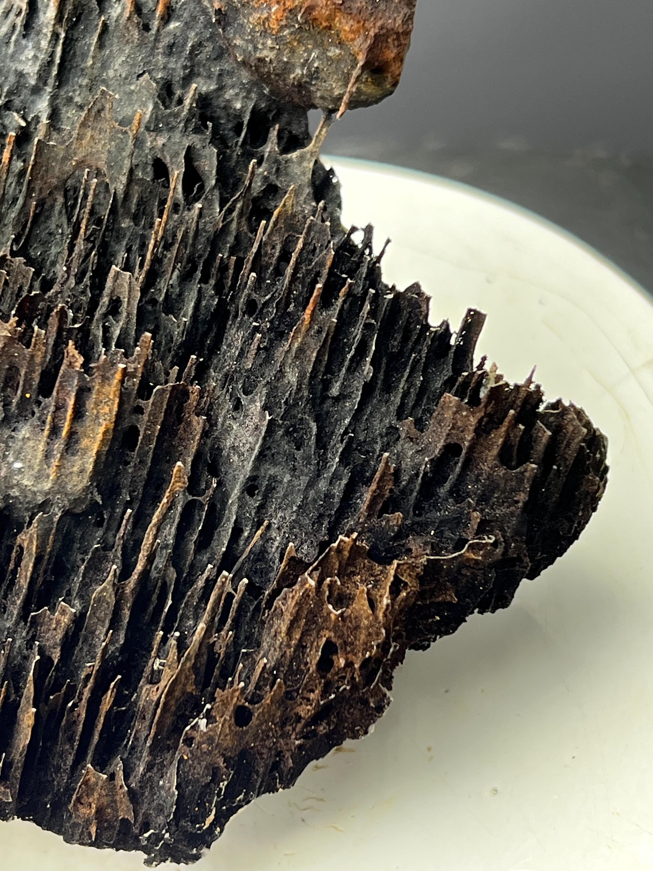 Very Showy Limonite With Stalactite Goethite Specimen - Crystal Gemstone AE 
